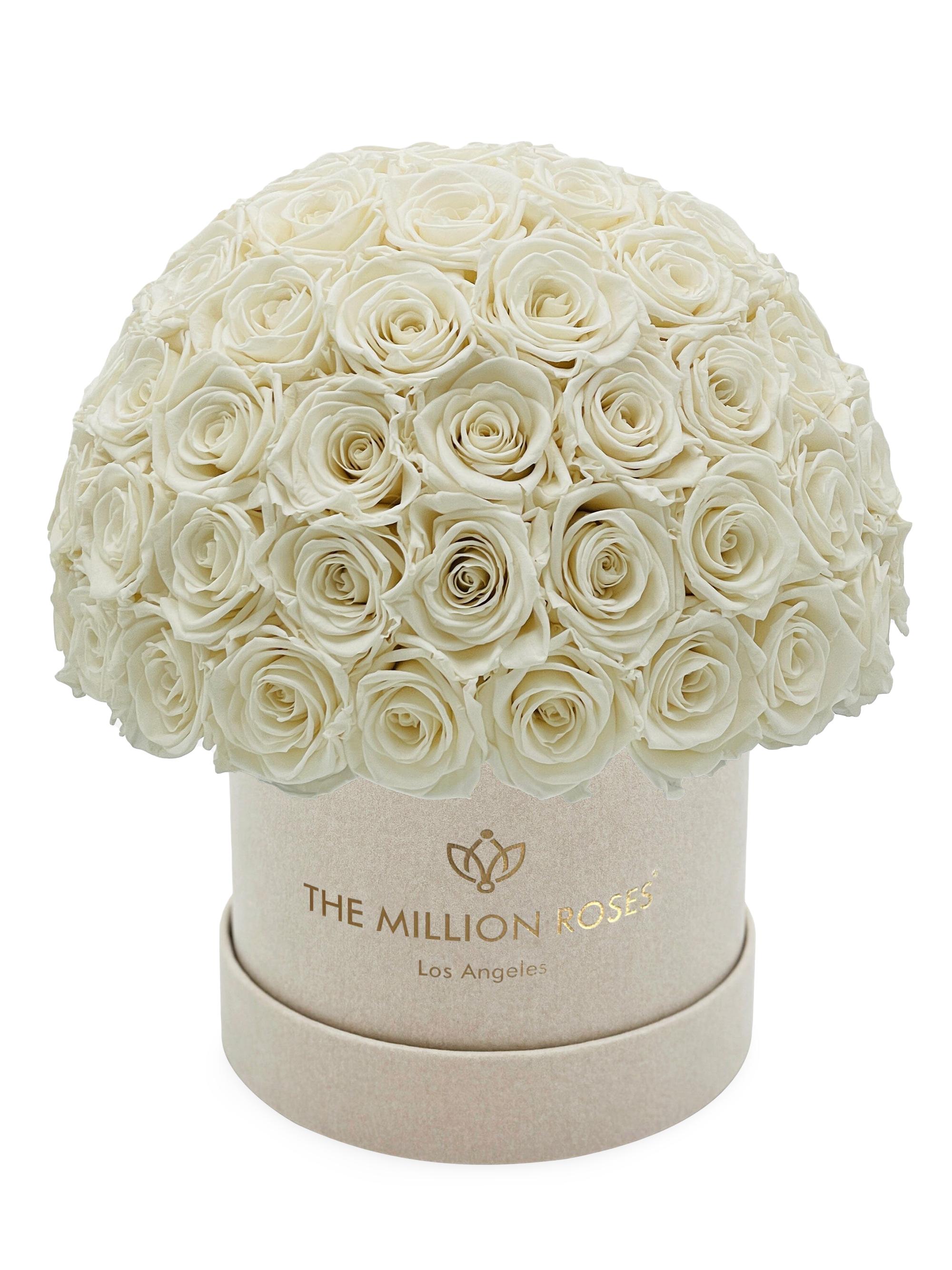 The Million Roses Classic Roses In Suede Superdome Box - White