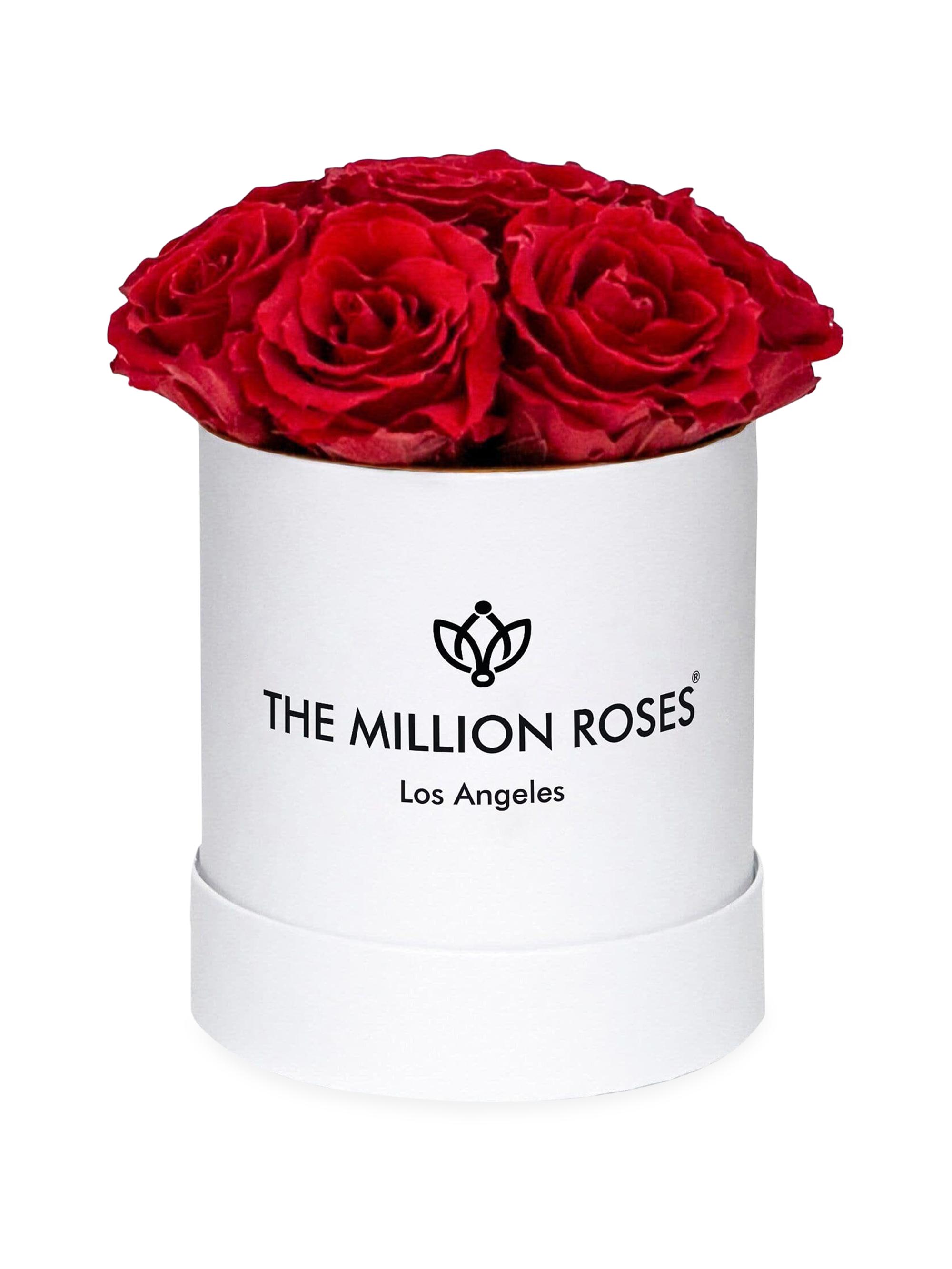 The Million Roses Basic Box Collection Roses In Round Box - Red