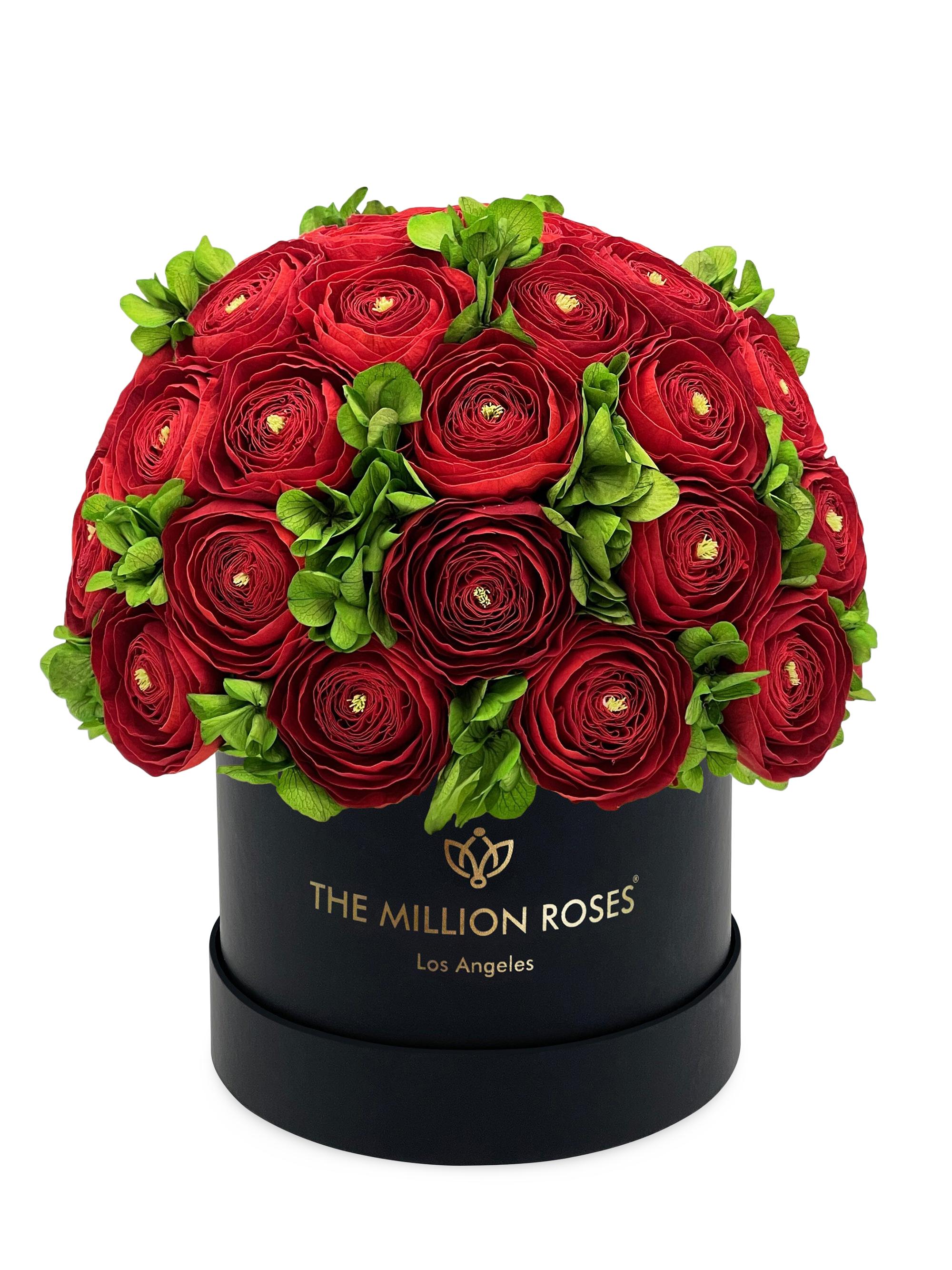 The Million Roses Classic Black Box Of Persian Buttercups And Hydrangeas - Red