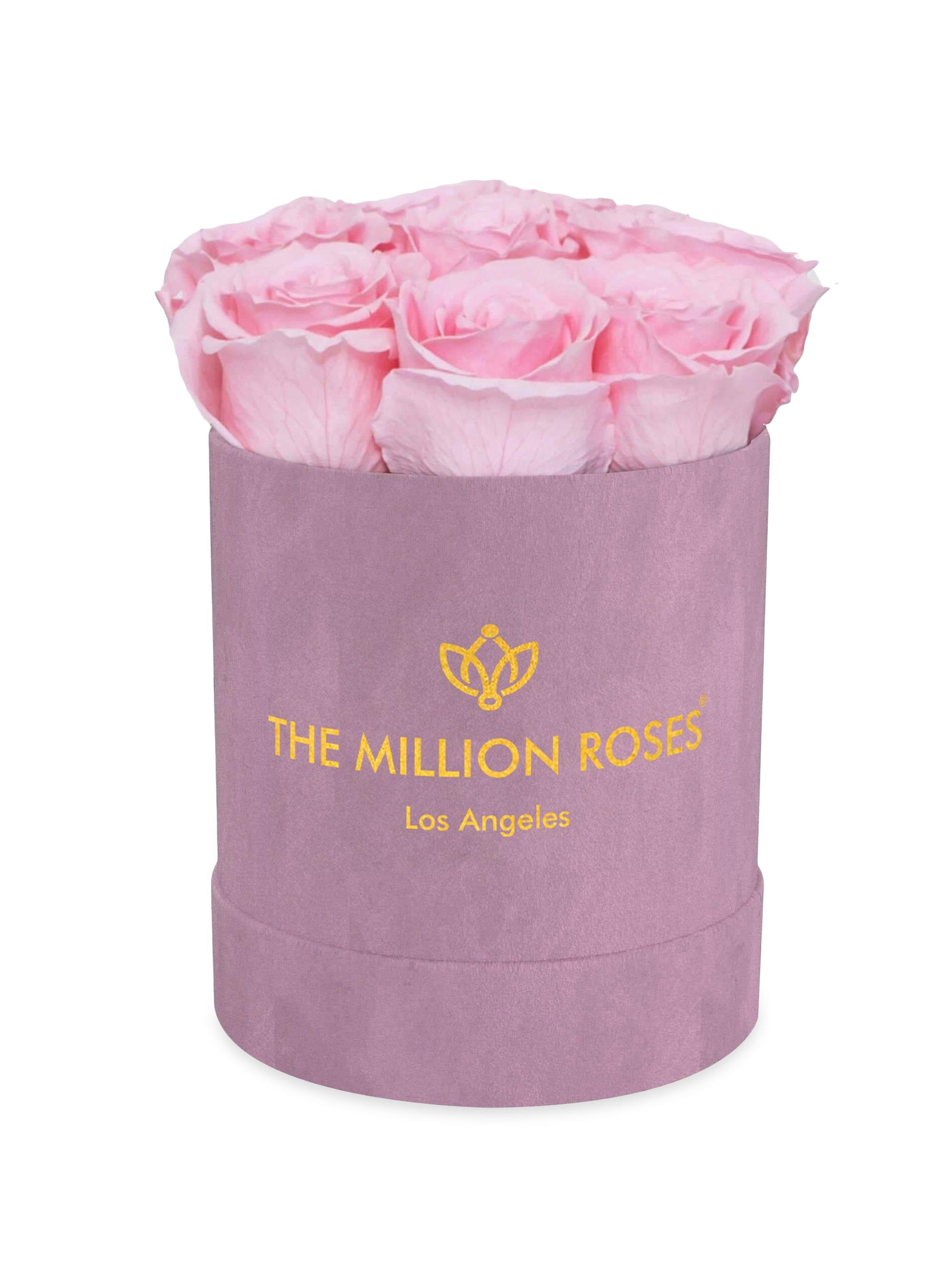 The Million Roses Basic Suede Box of Roses - Light Pink