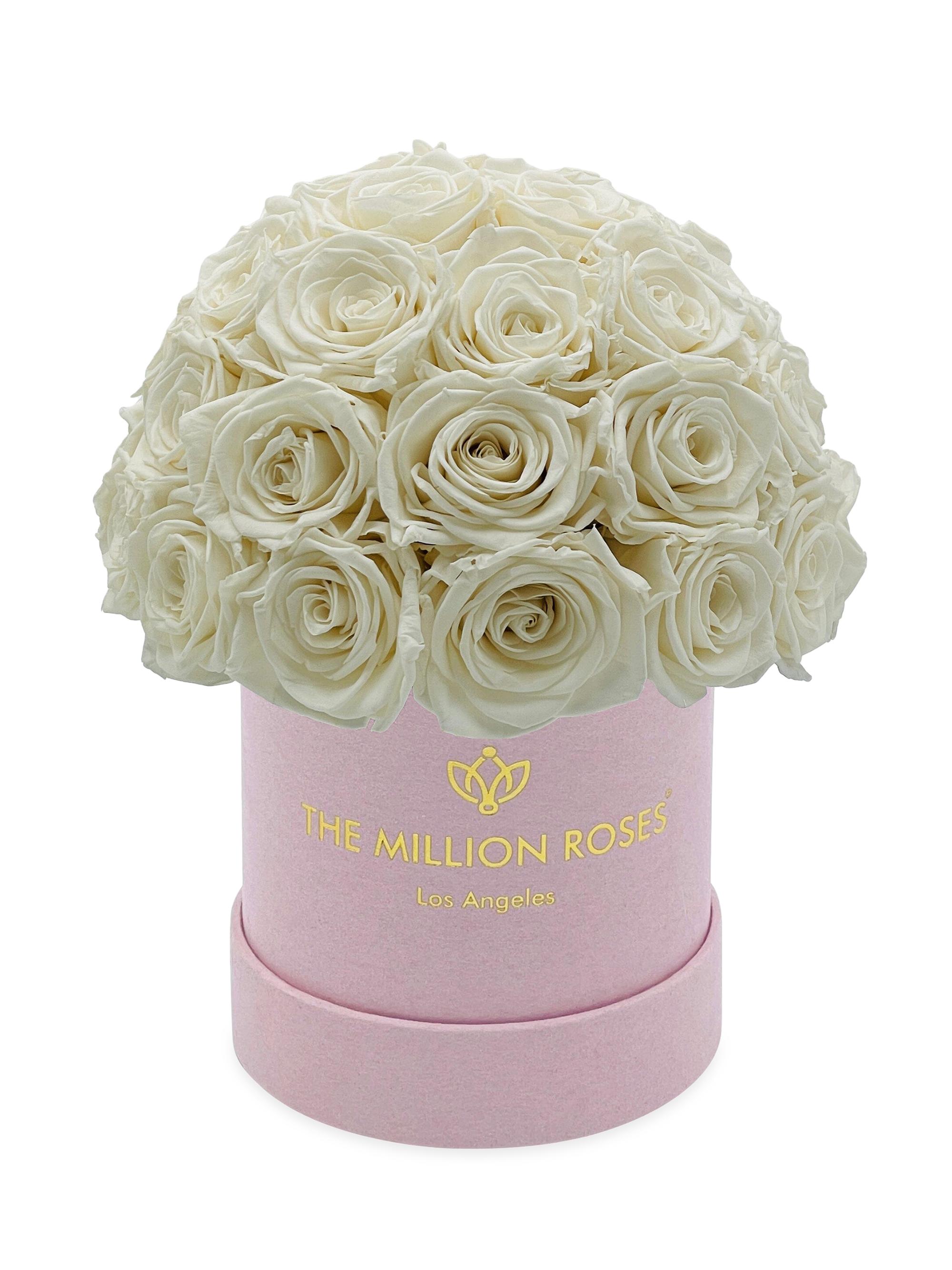 The Million Roses Basic Roses In Light Pink Suede Superdome Box - White
