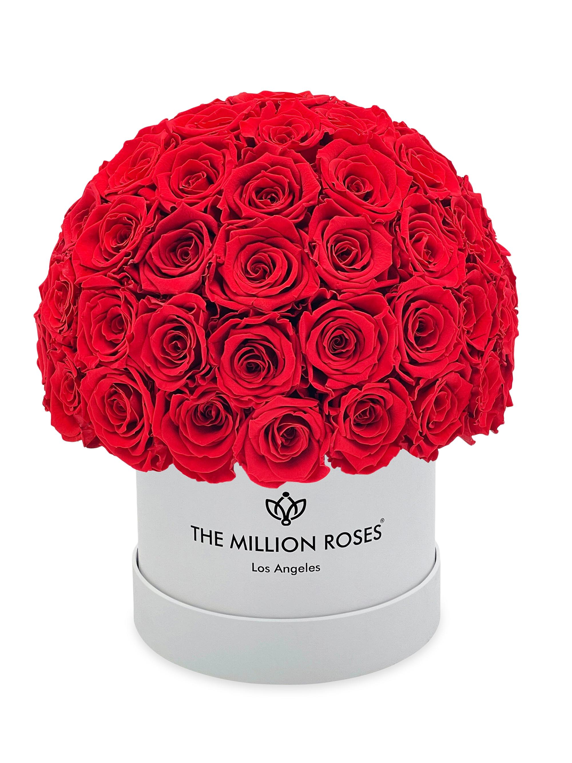 The Million Roses Classic Red Roses Superdome Box - Red