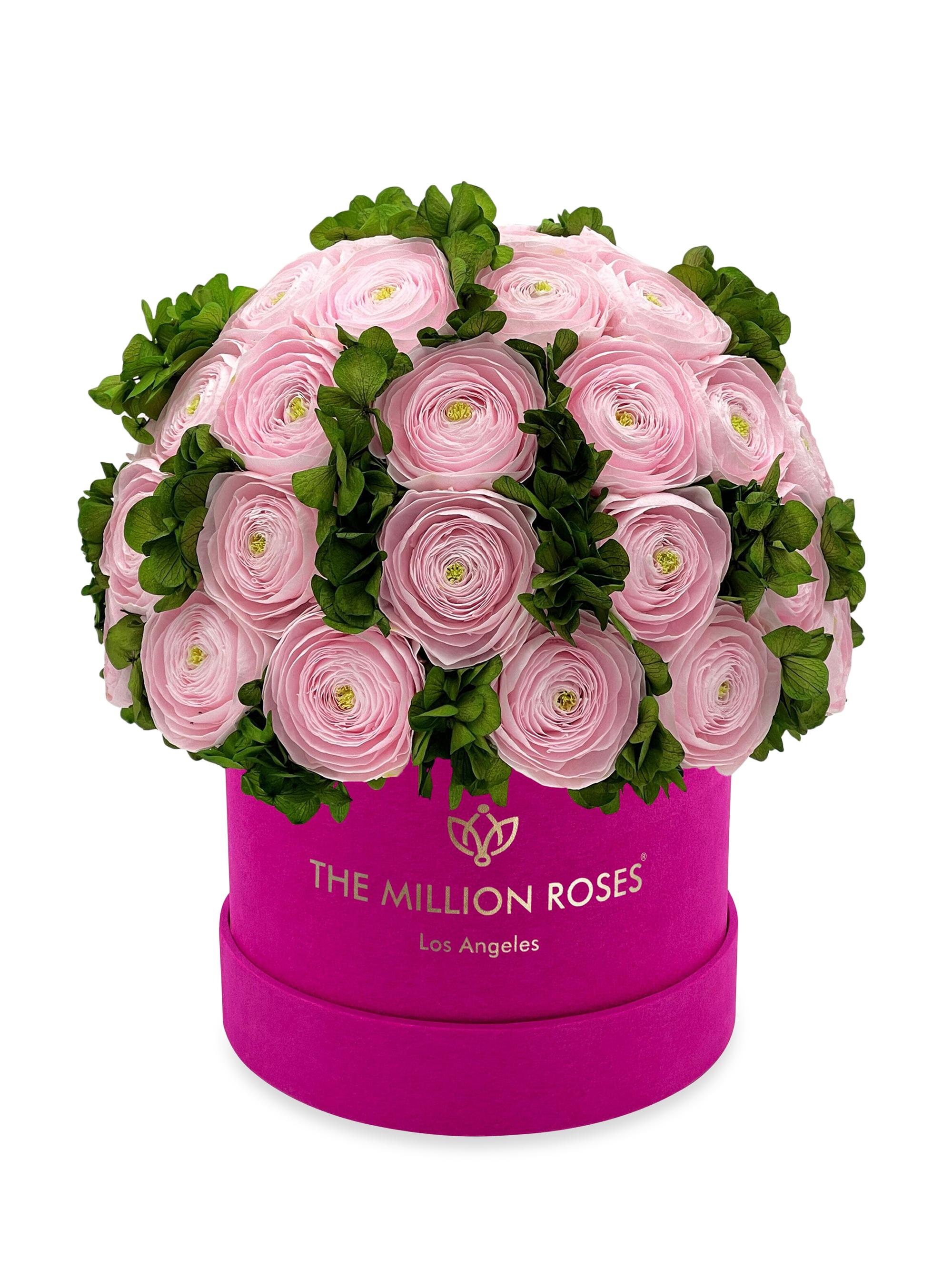 The Million Roses Classic Suede Box Of Persian Buttercups And Hydrangeas - Light Pink