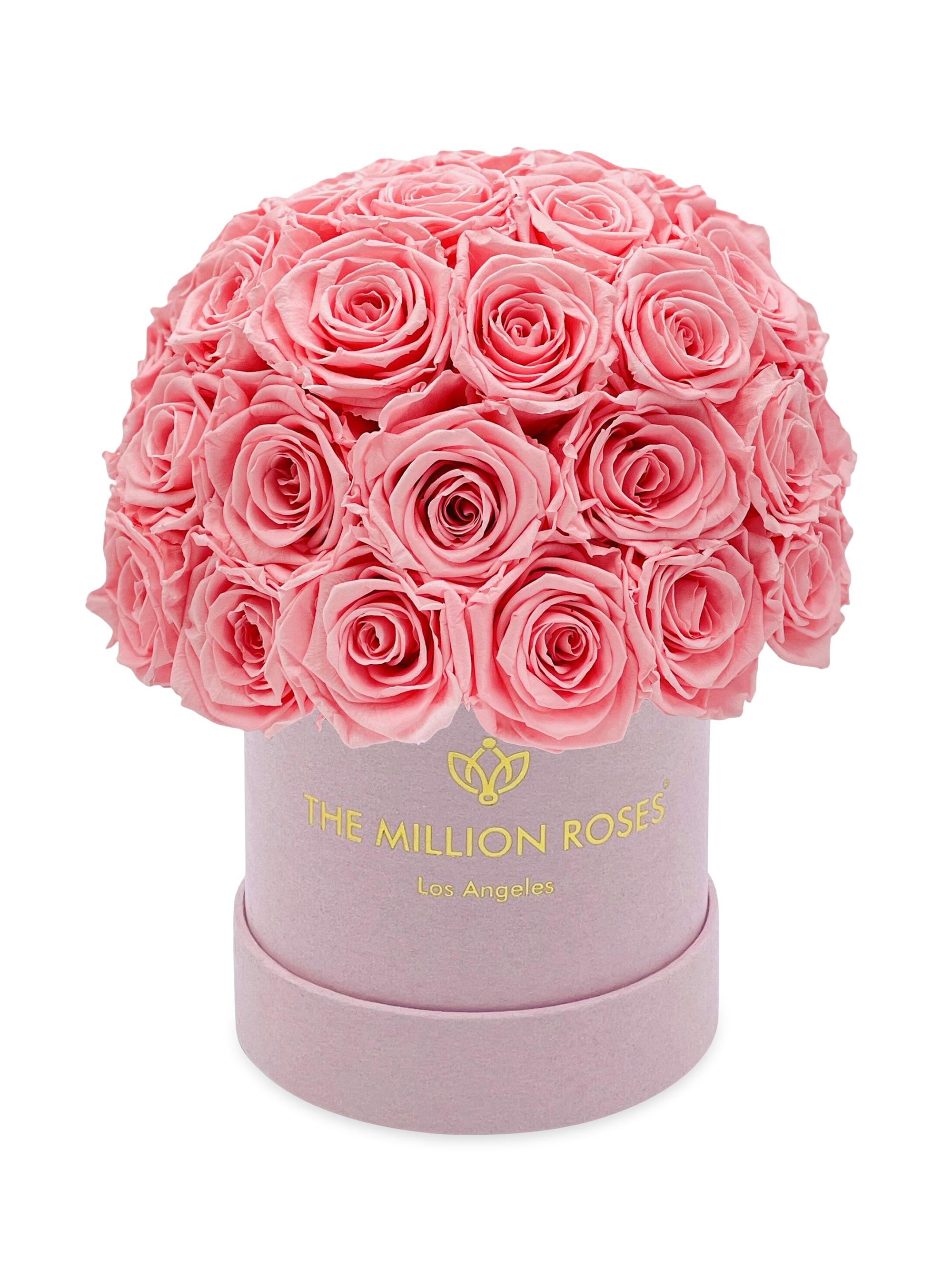 The Million Roses Basic Suede Superdome Box of Roses - Light Pink