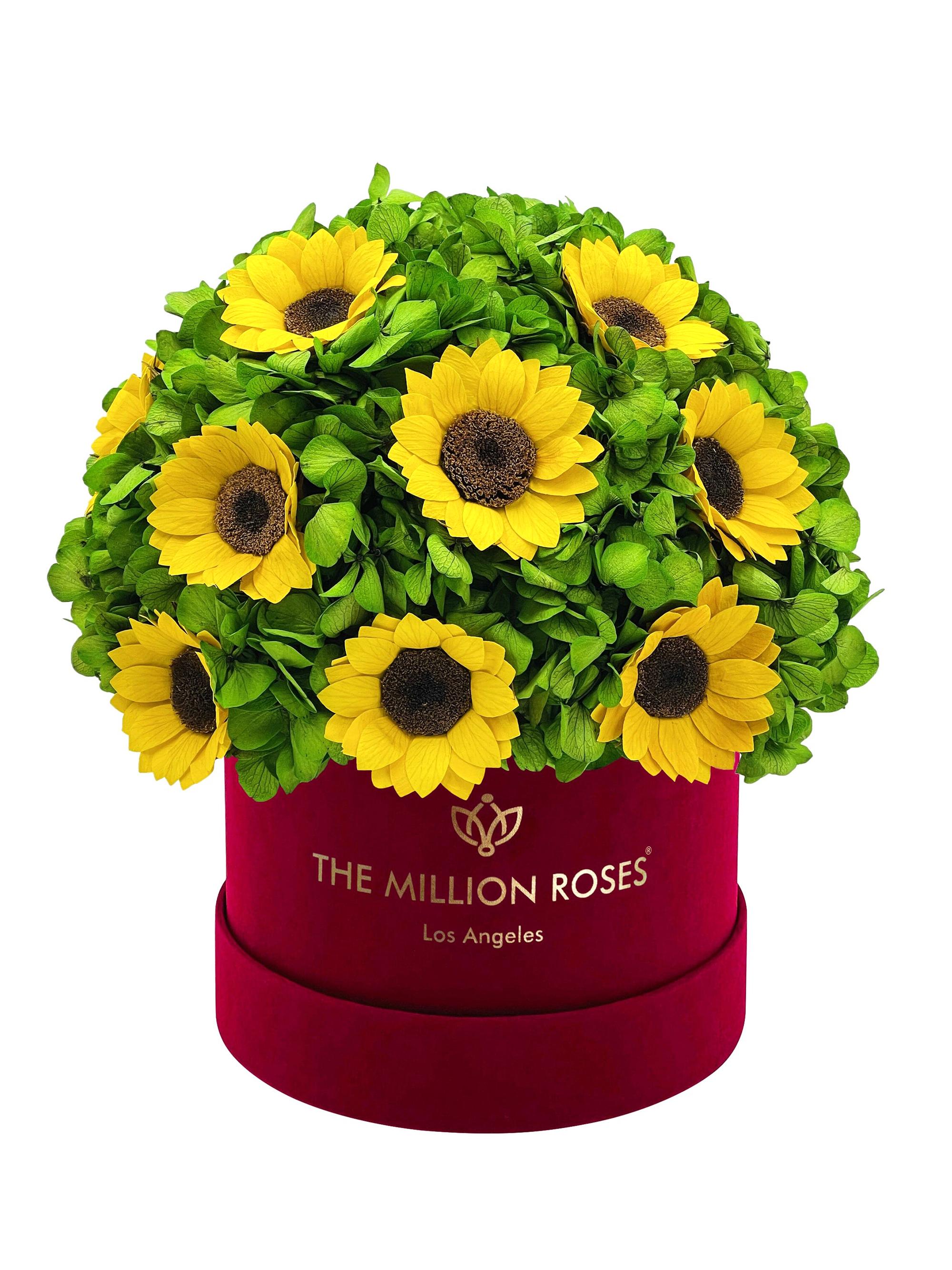 The Million Roses Classic Bordeaux Suede Box Of Hydrangeas And Sunflowers - Yellow