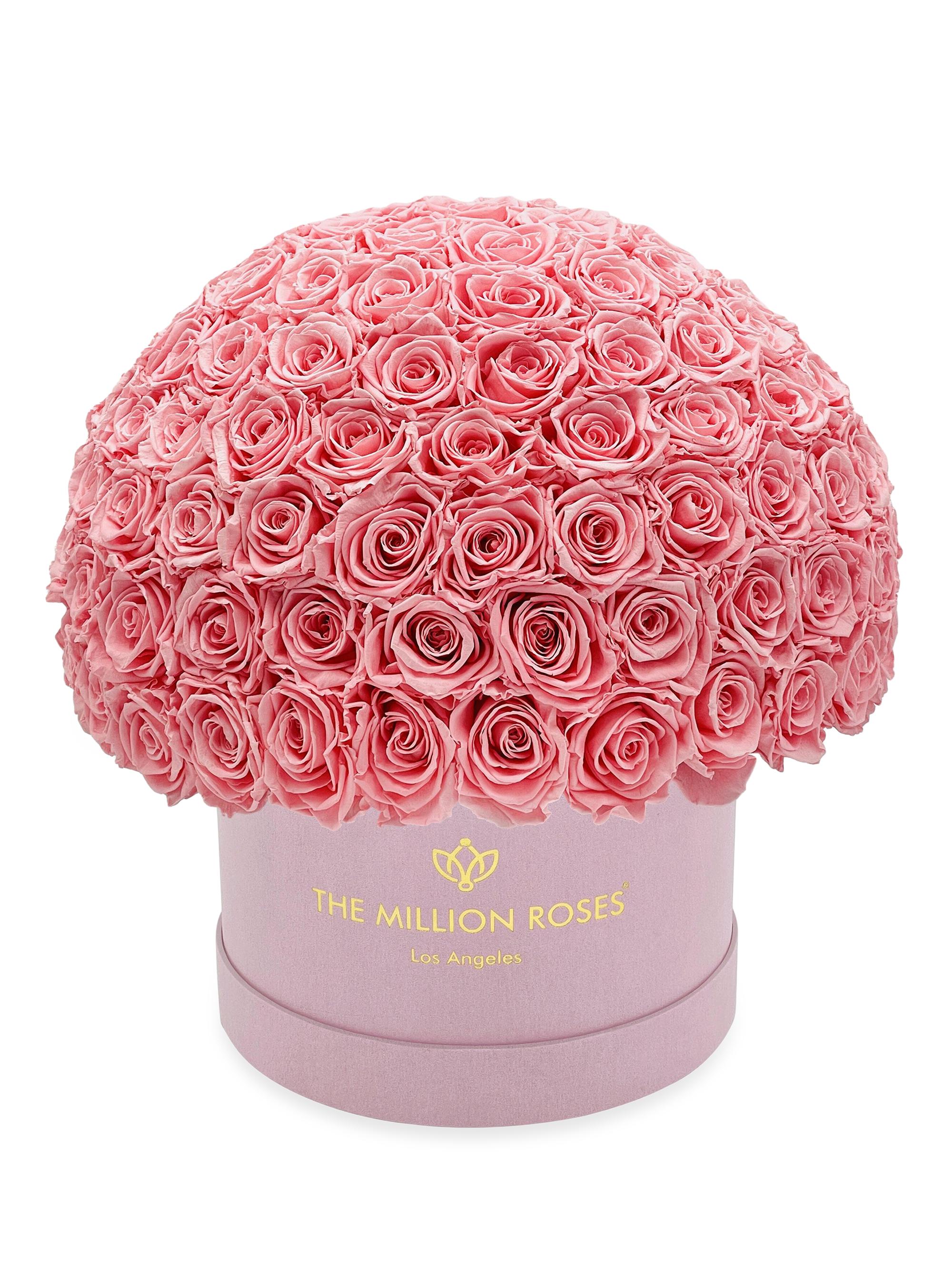 The Million Roses Supreme Bordeaux Suede Superdome Box - Light Pink