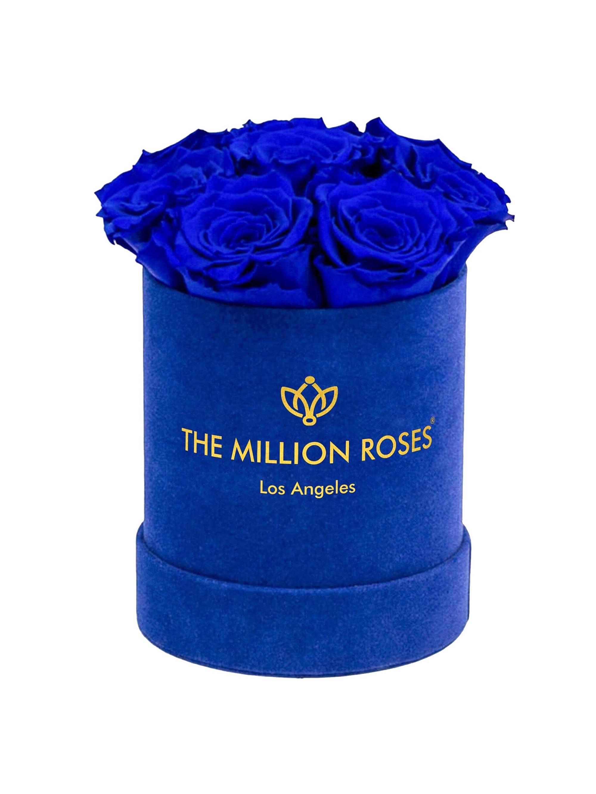 The Million Roses Basic Royal Blue Roses in Suede Box - Royal Blue