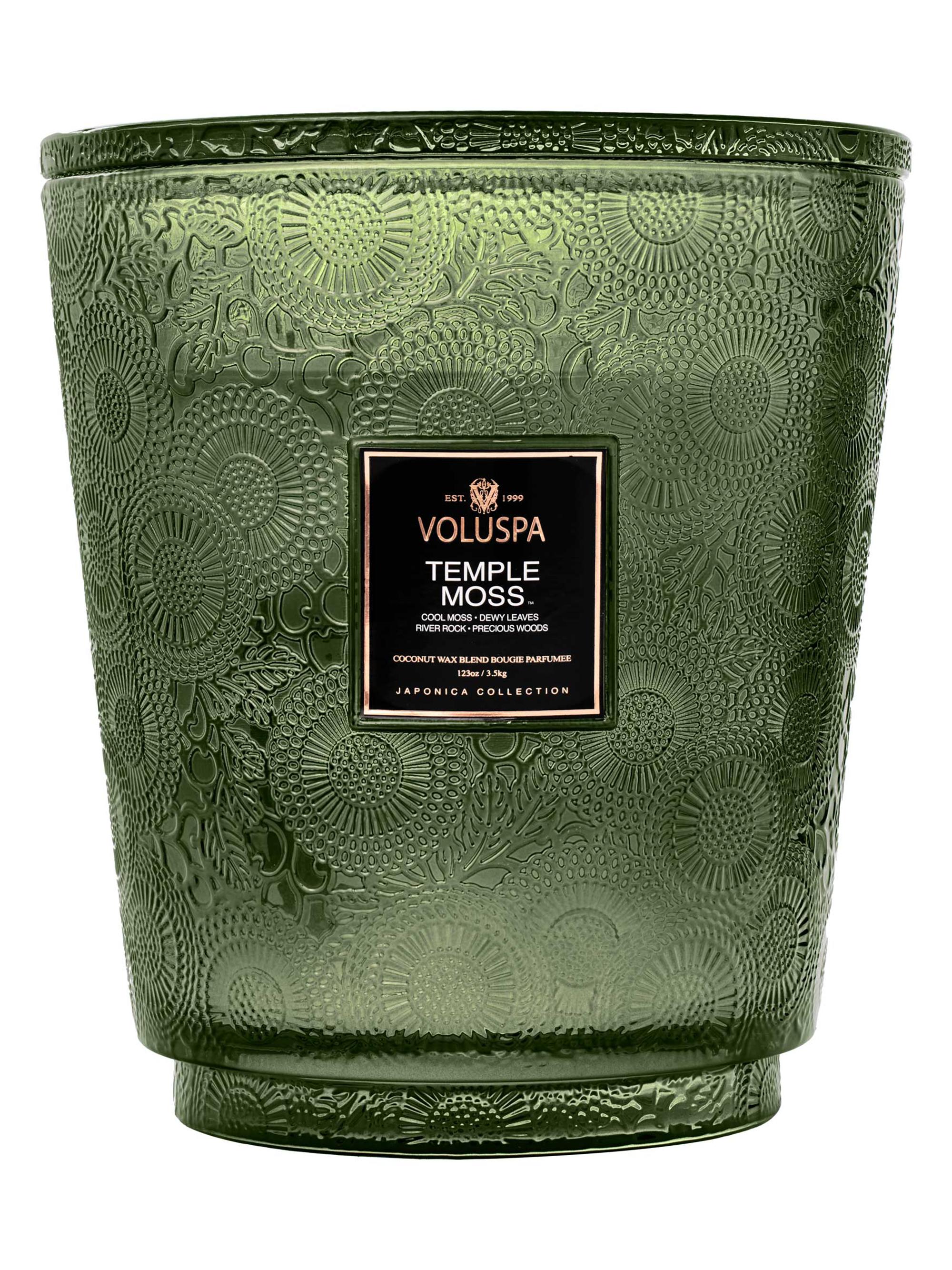 Voluspa Japonica Temple Moss 5-Wick Hearth Candle