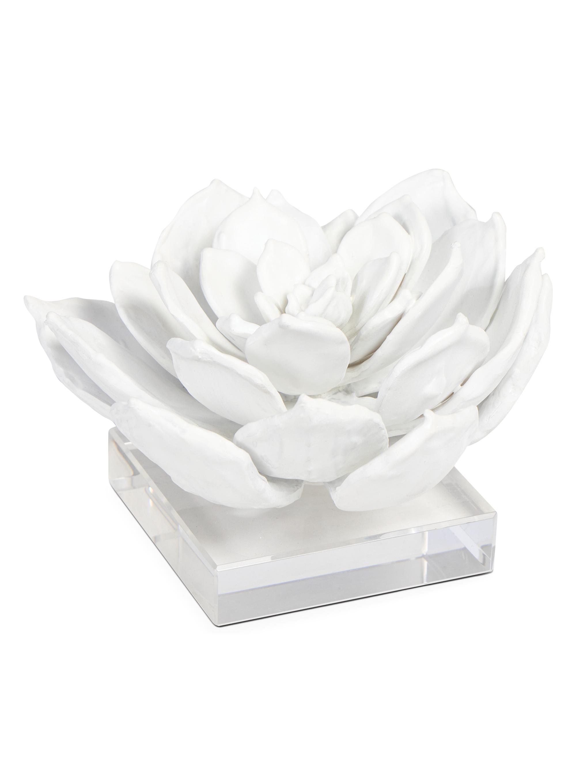 Regina Andrew Succulent Resin Sculpture - White