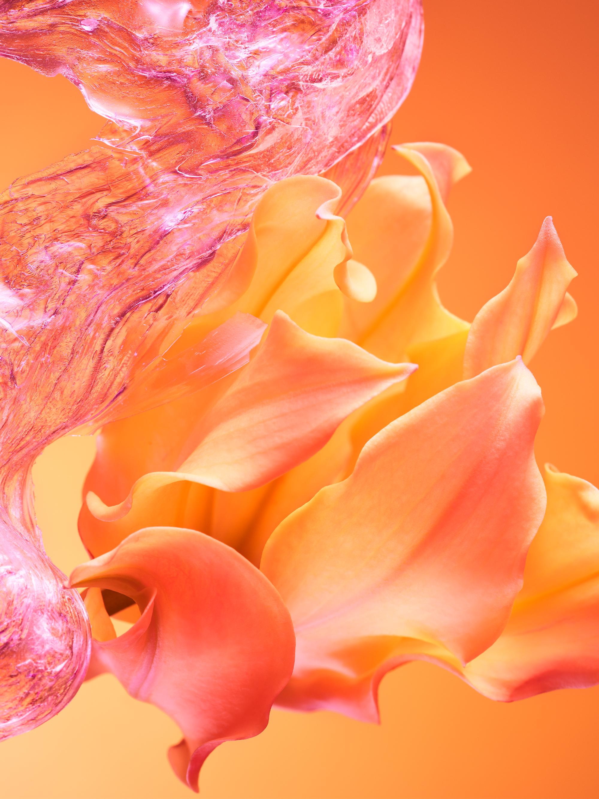 BVLGARI Allegra Bvlgari Passeggiata Eau de Toilette | Saks Fifth