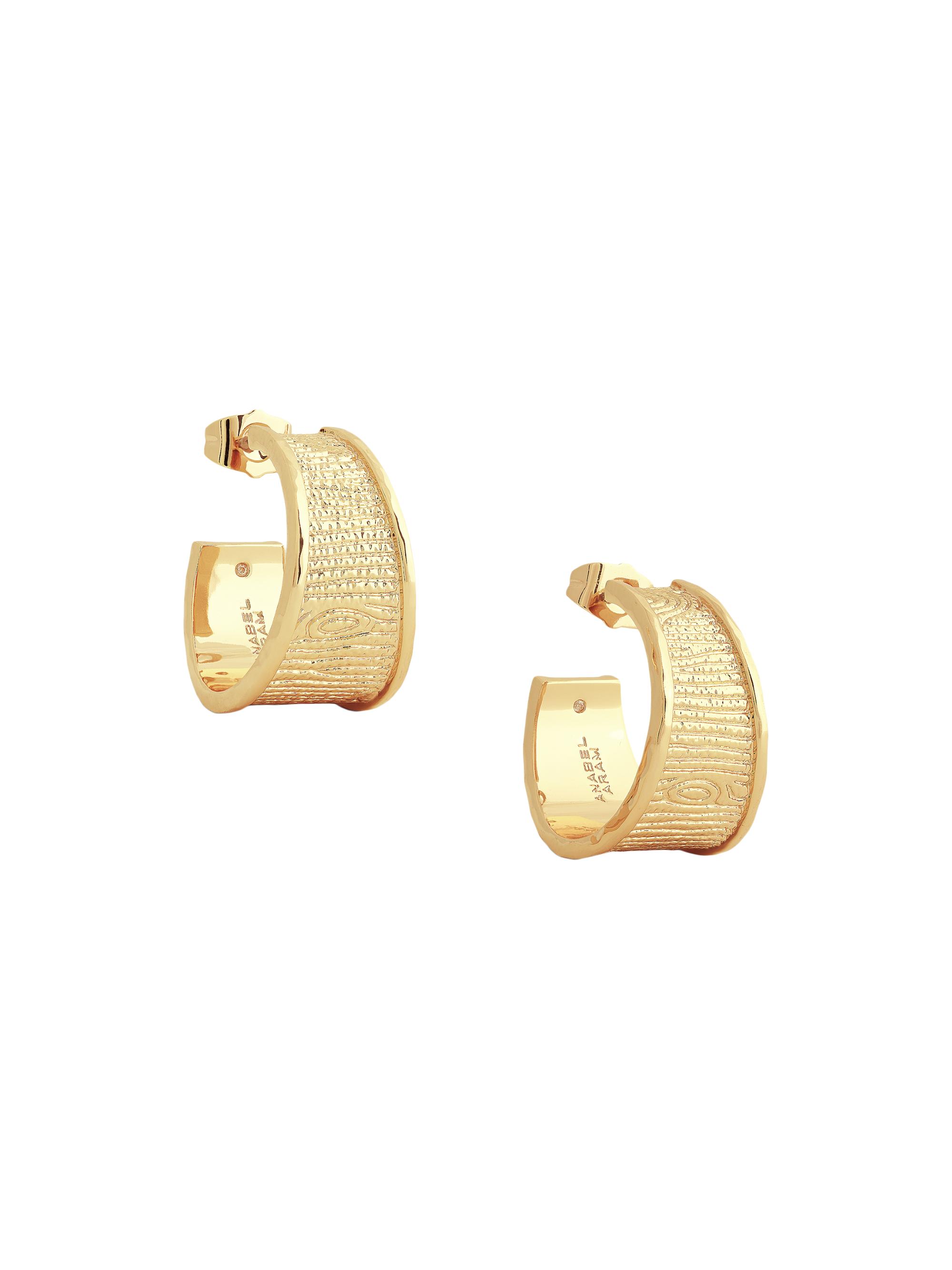 Anabel Aram Women's Enchanted Forest 18K Gold-Plated Bark Hoops - Gold