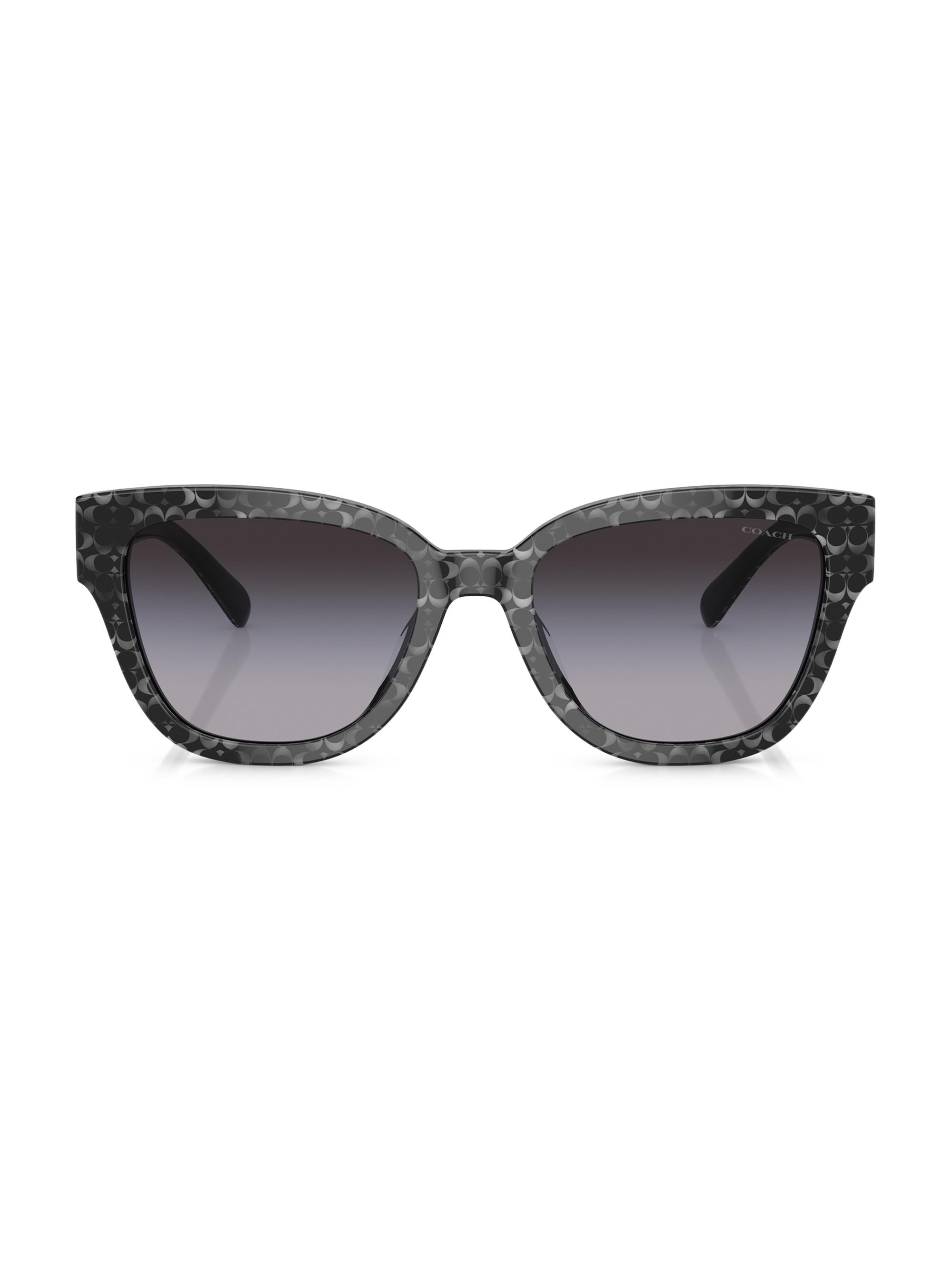 COACH Women's 54MM Butterfly Sunglasses - Silver