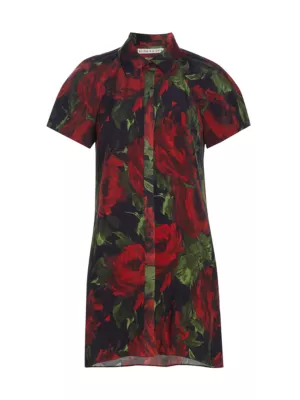 Shop Alice + Olivia Jem Floral Puff-Sleeve Minidress | Saks Fifth Avenue