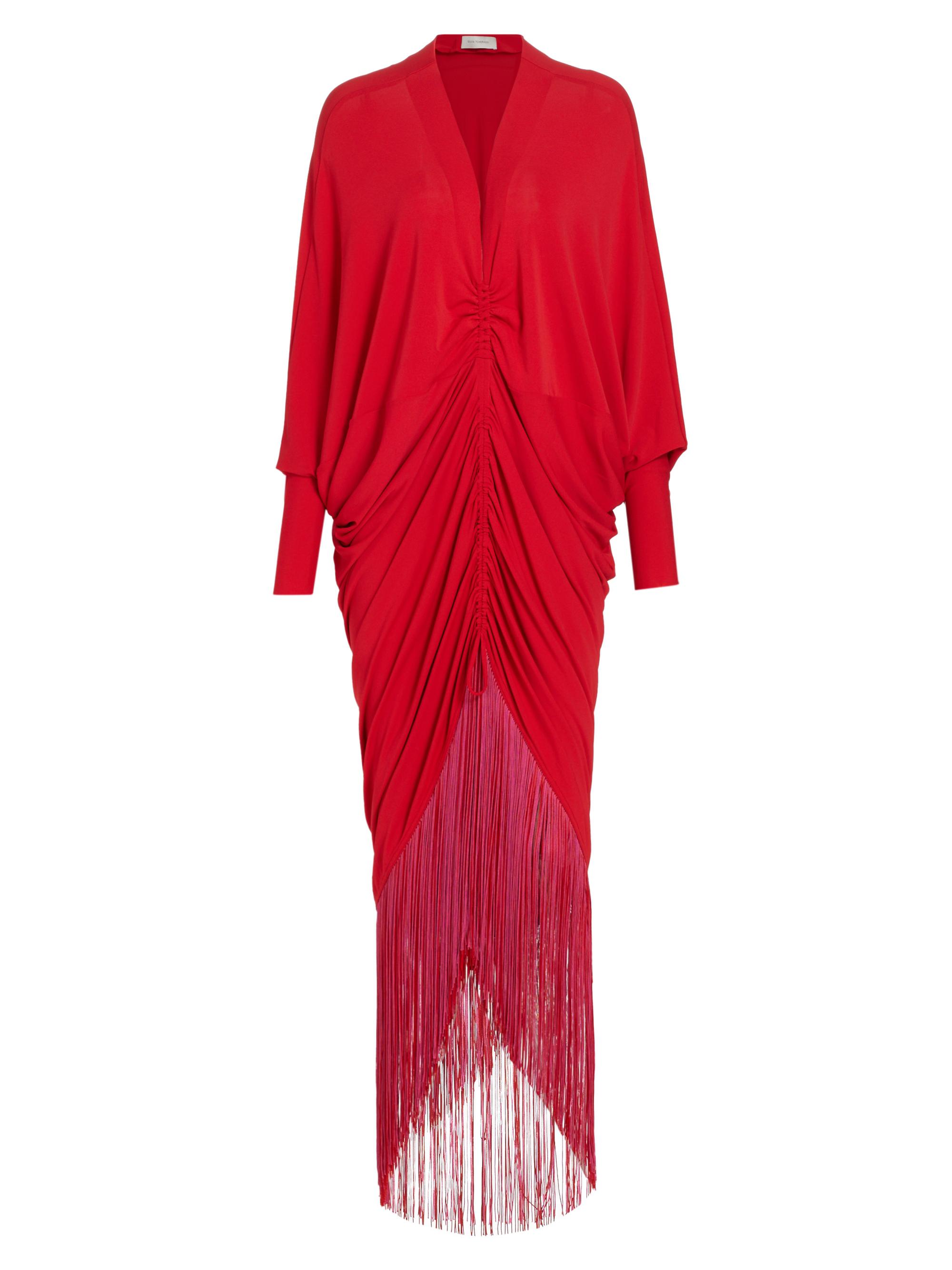 silvia tcherassi balerina embroidered mini dress Battia Dress main image 0