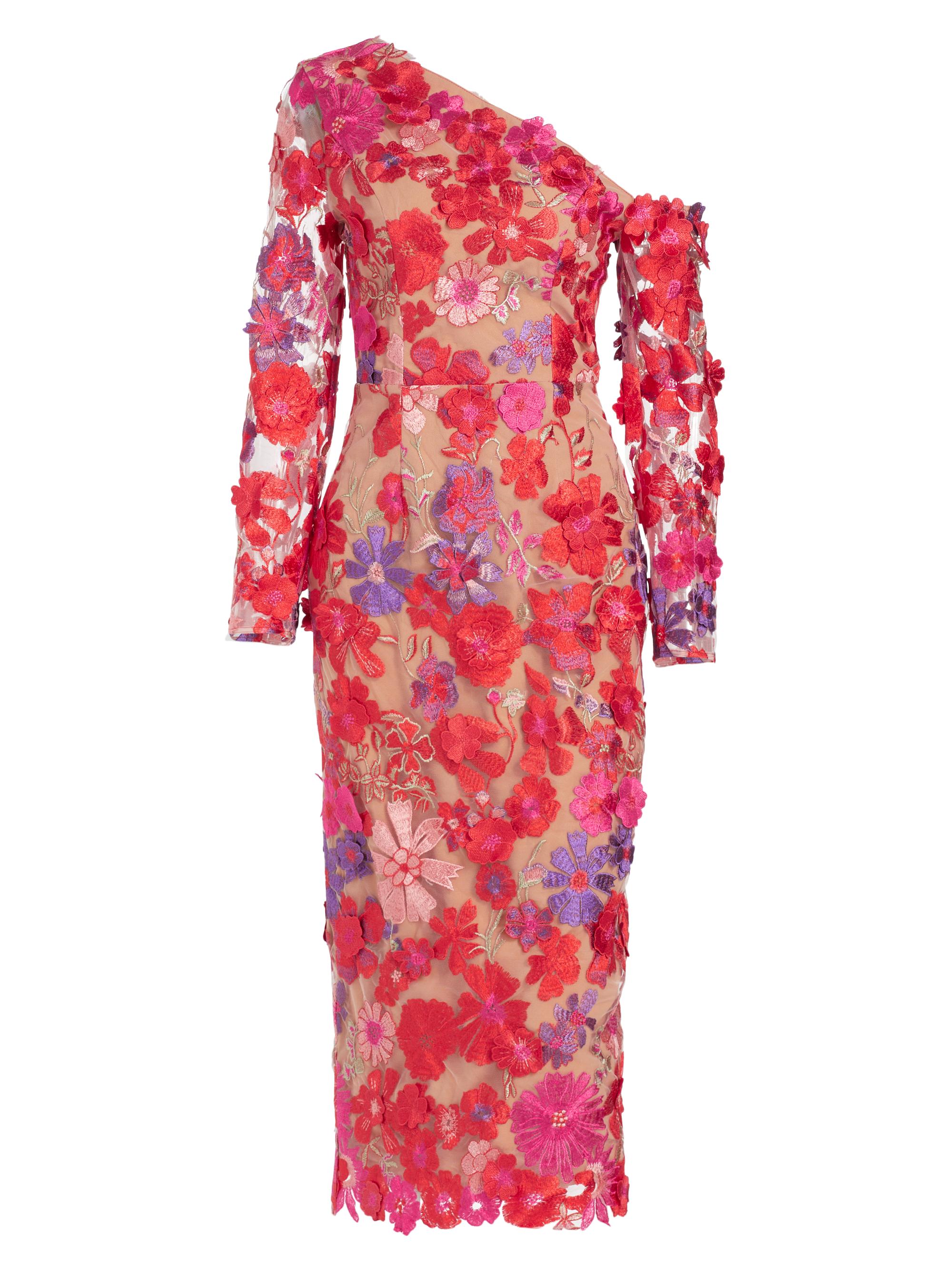 Elliatt Women's Merriment Electric Floral Appliqué Midi-Dress - Red Beige