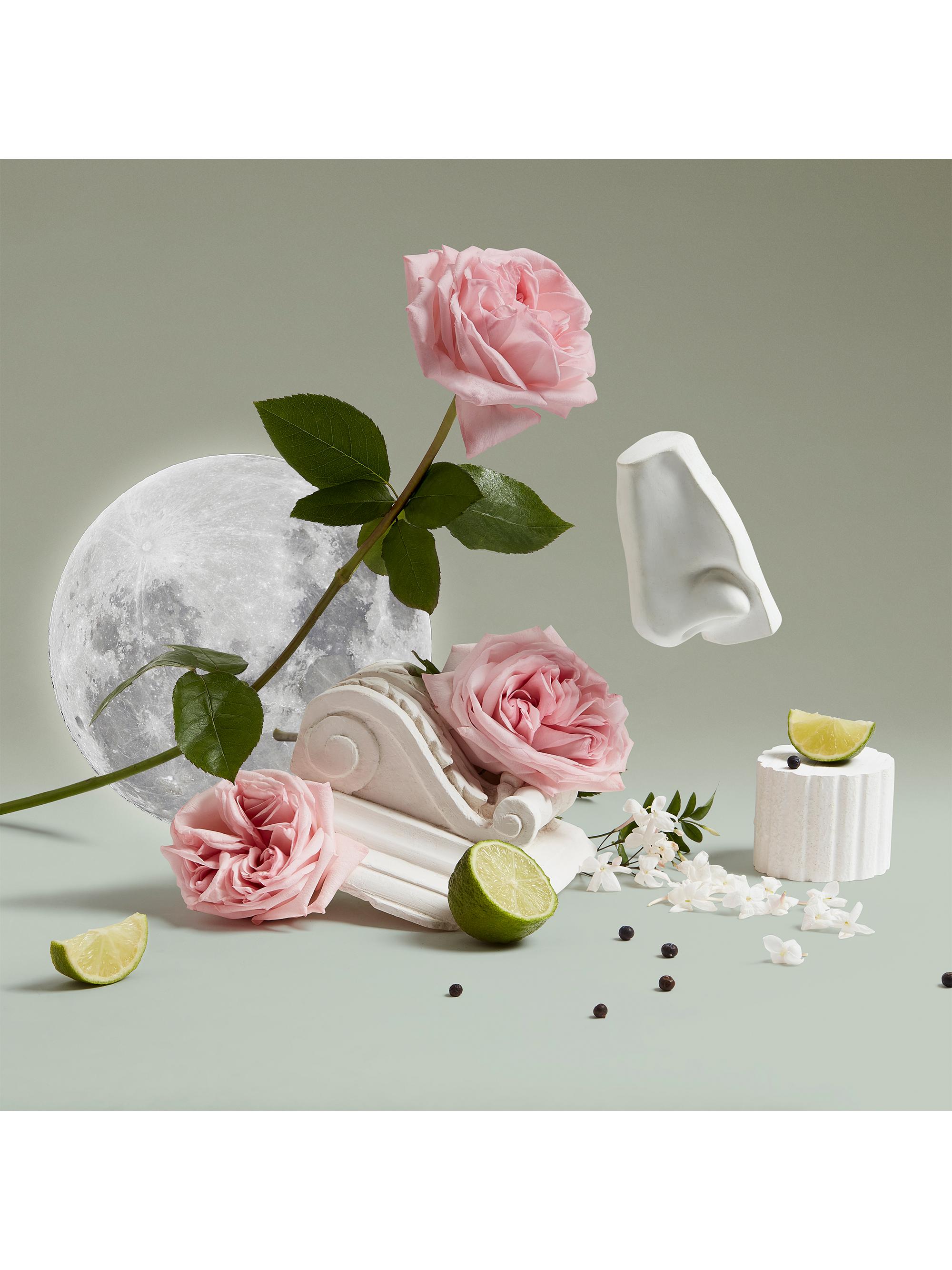 Penhaligon's Luna ボディ＆ハンドウォッシュ 500ml 楽天市場】ペンハリガン PENHALIGONS ルナボディ&ハンド