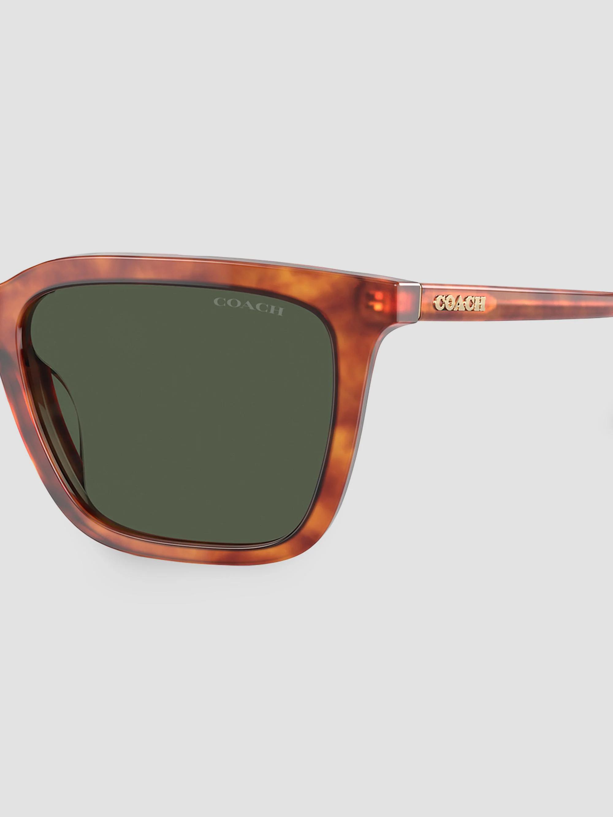 COACH 0HC8385U 54MM Butterfly Sunglasses | Saks Fifth Avenue