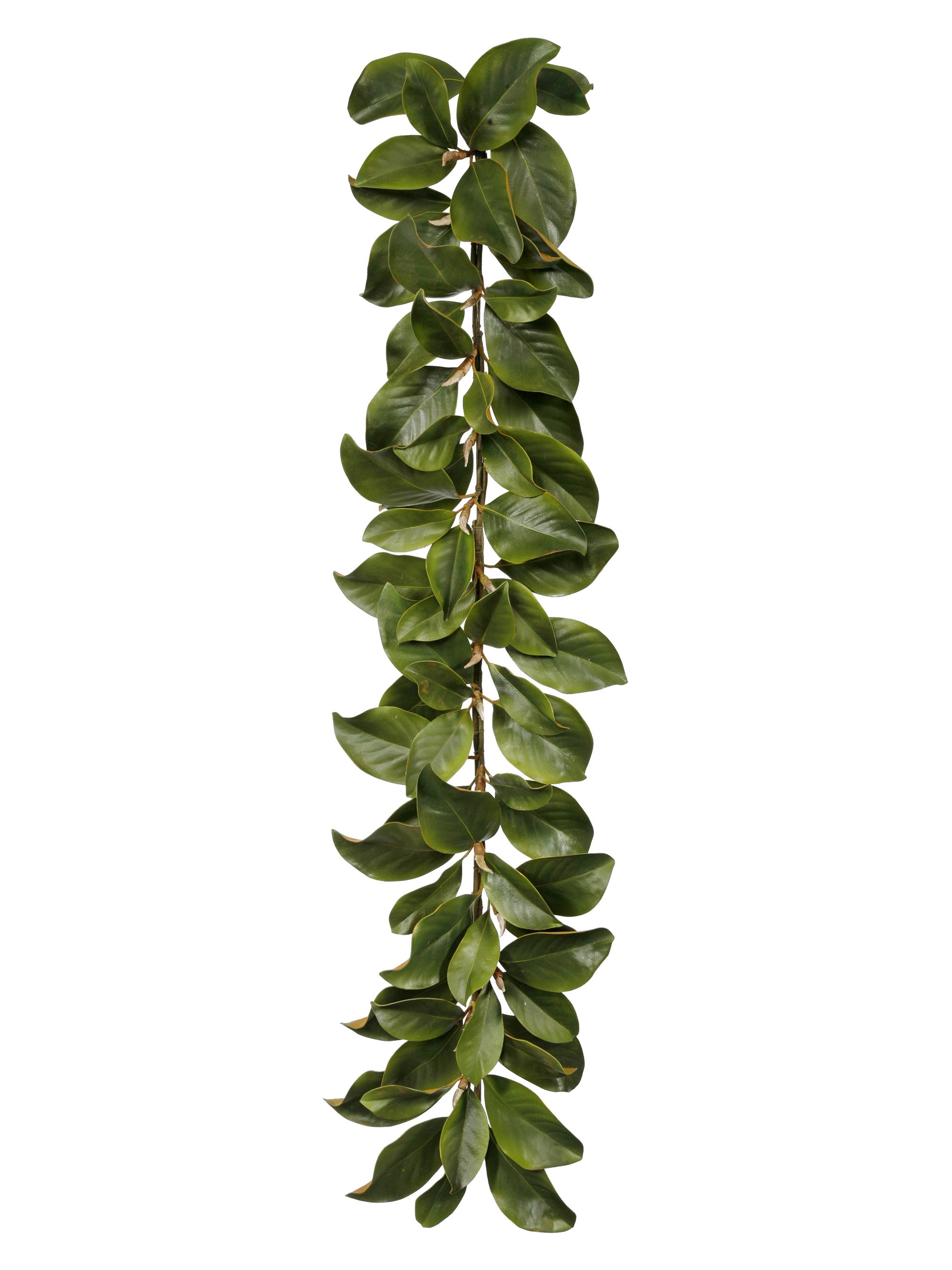 Winward Home Garland Magnolia Leaf - Green