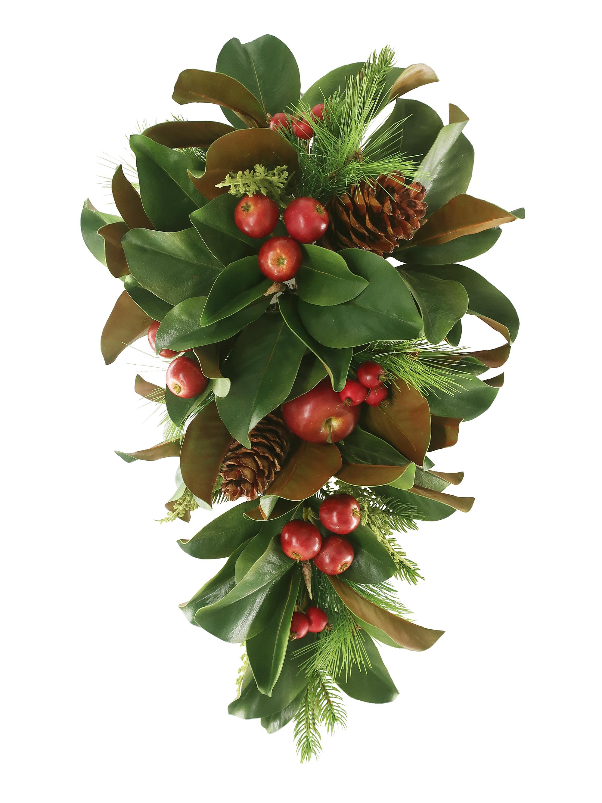 Winward Home Magnolia Leaf & Apple Cone