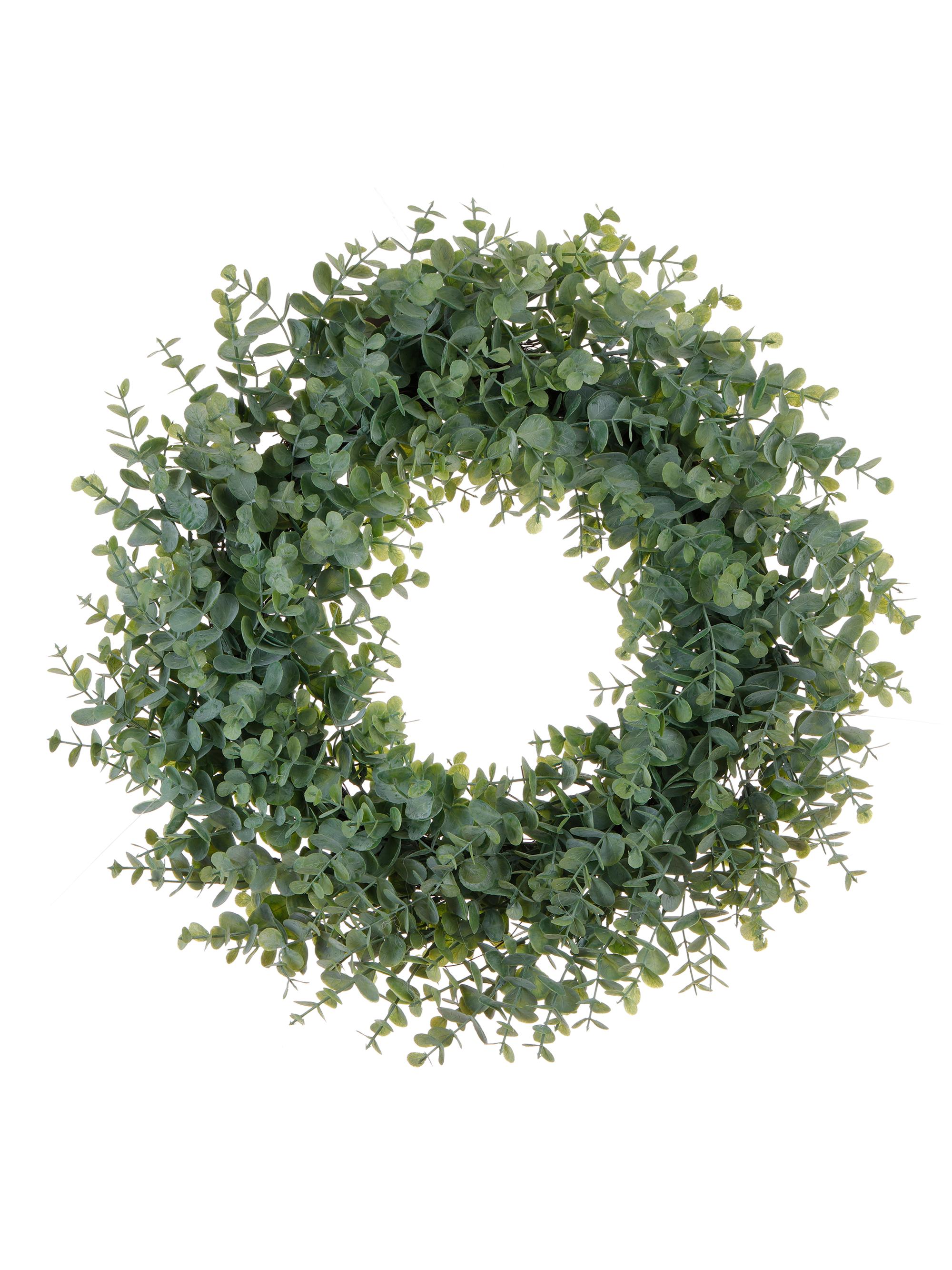Winward Home Mini Eucalyptus Wreath - Green