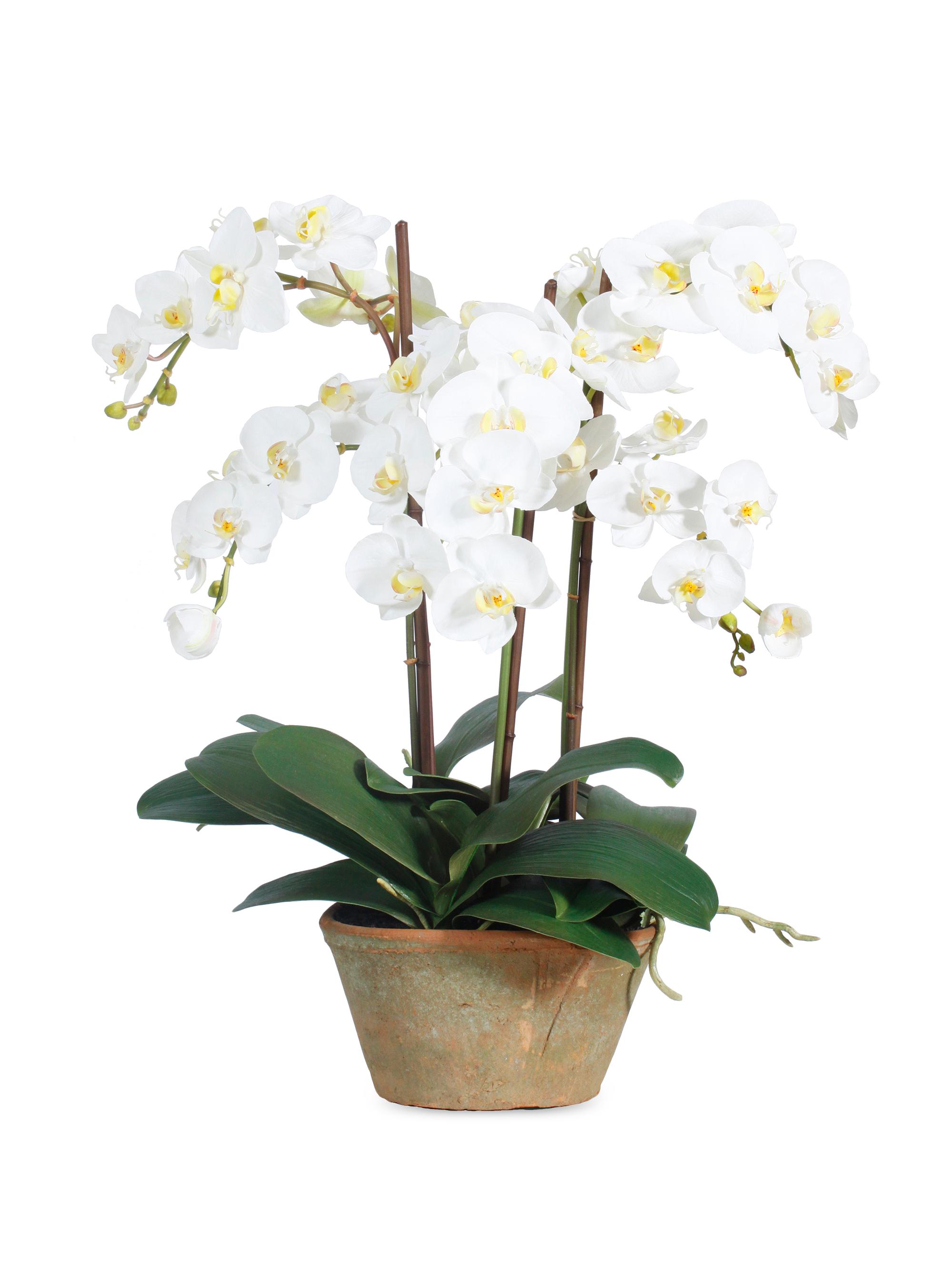 Winward Home Faux Phalaenopsis Potted Planter - White