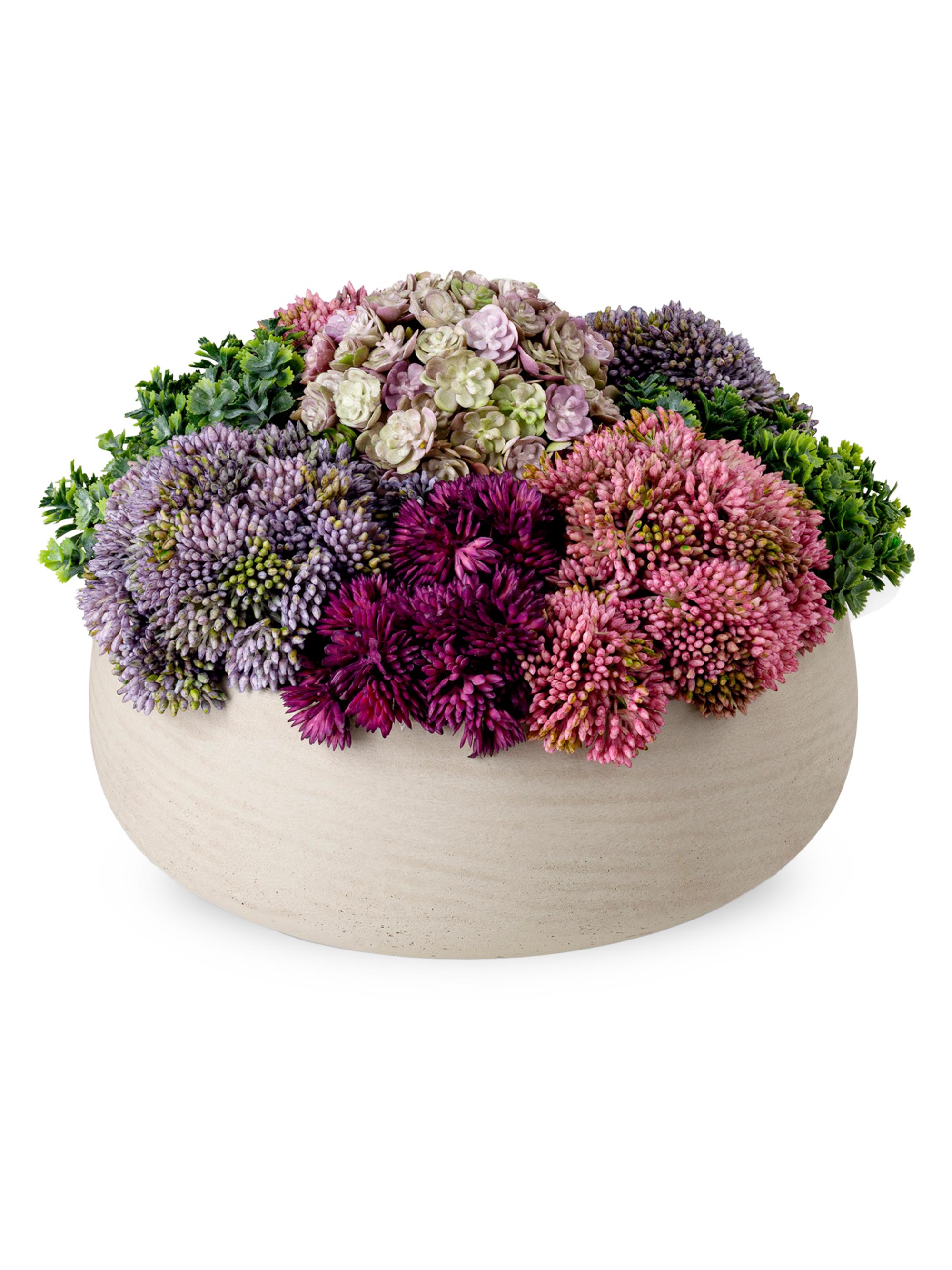 CocoBella Georgina Sedum Arrangement - Beige