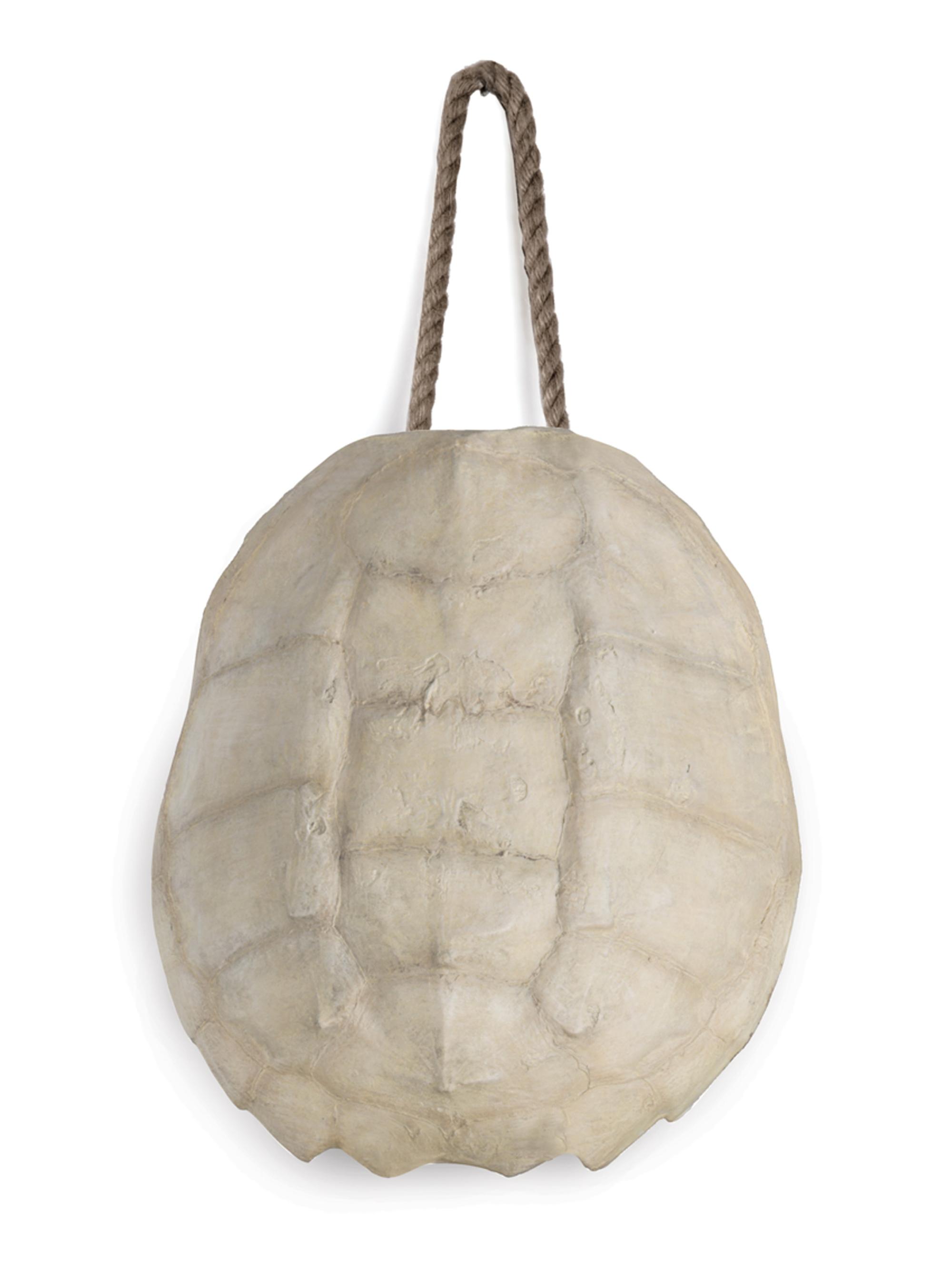 Regina Andrew Turtle Shell Accessory