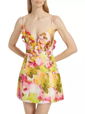 Acler Basset floral-print minidress - Multicolour