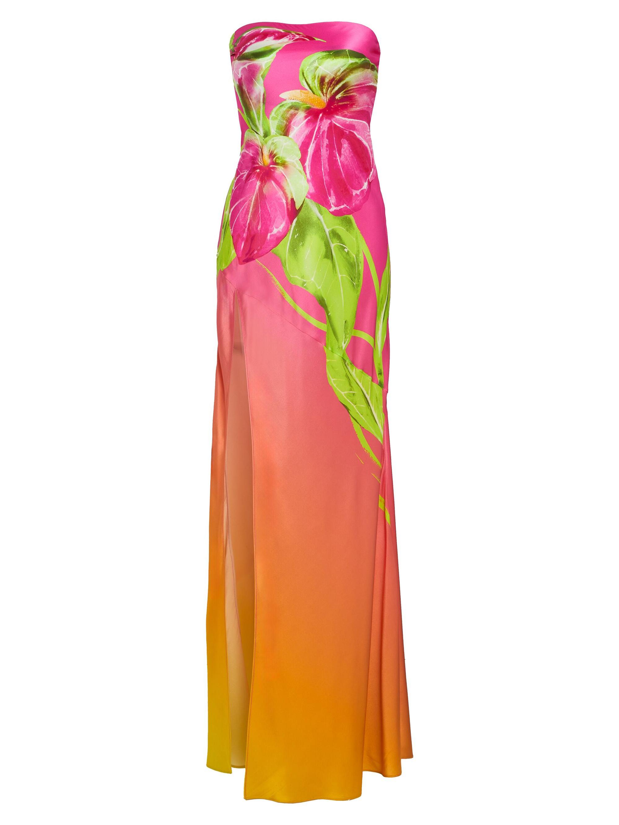 Retrofête Women's Aiyanna Dress - Ombre Anthurium