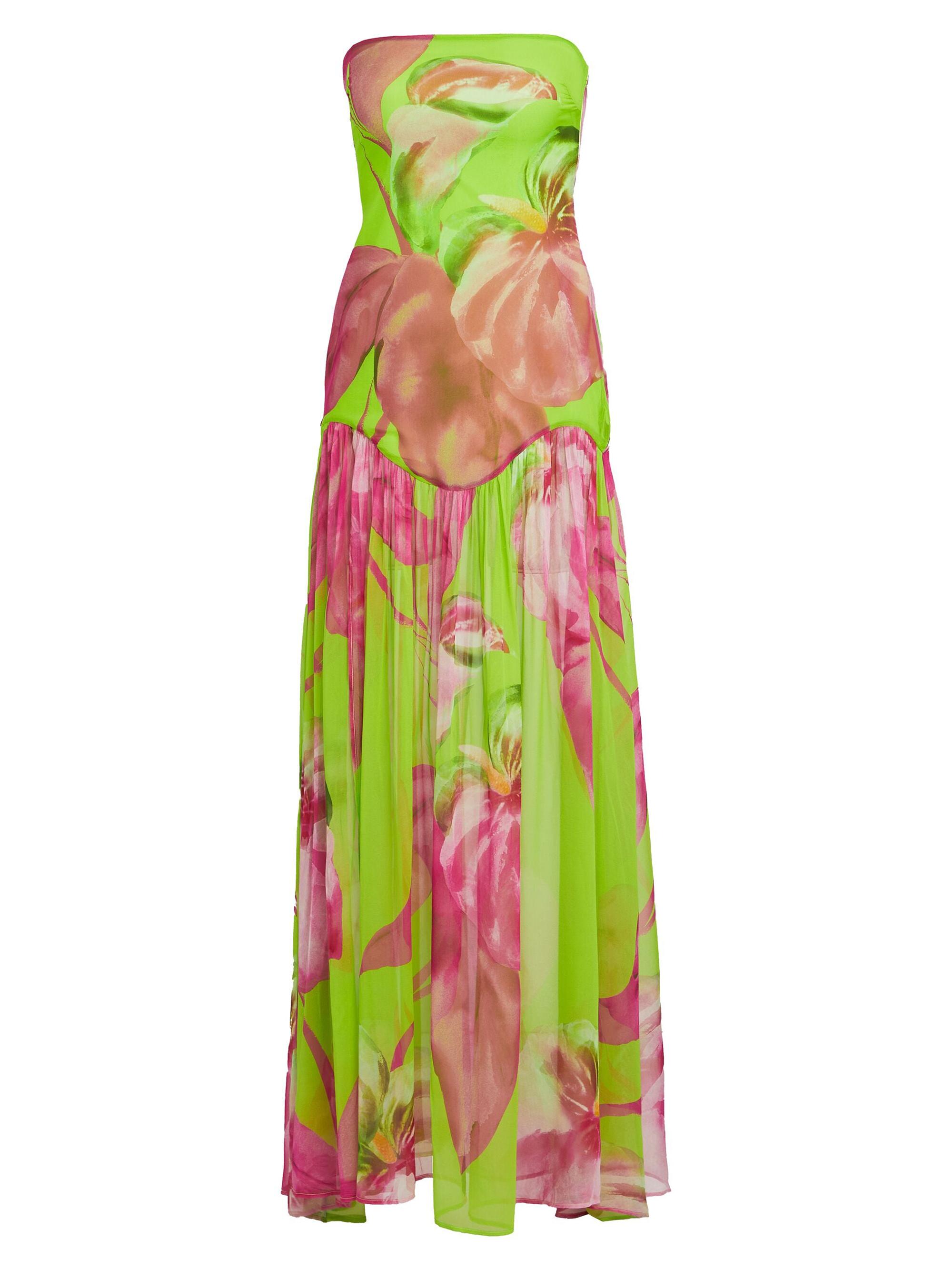 Retrofête Women's Marisol Dress - Lime Anthurium