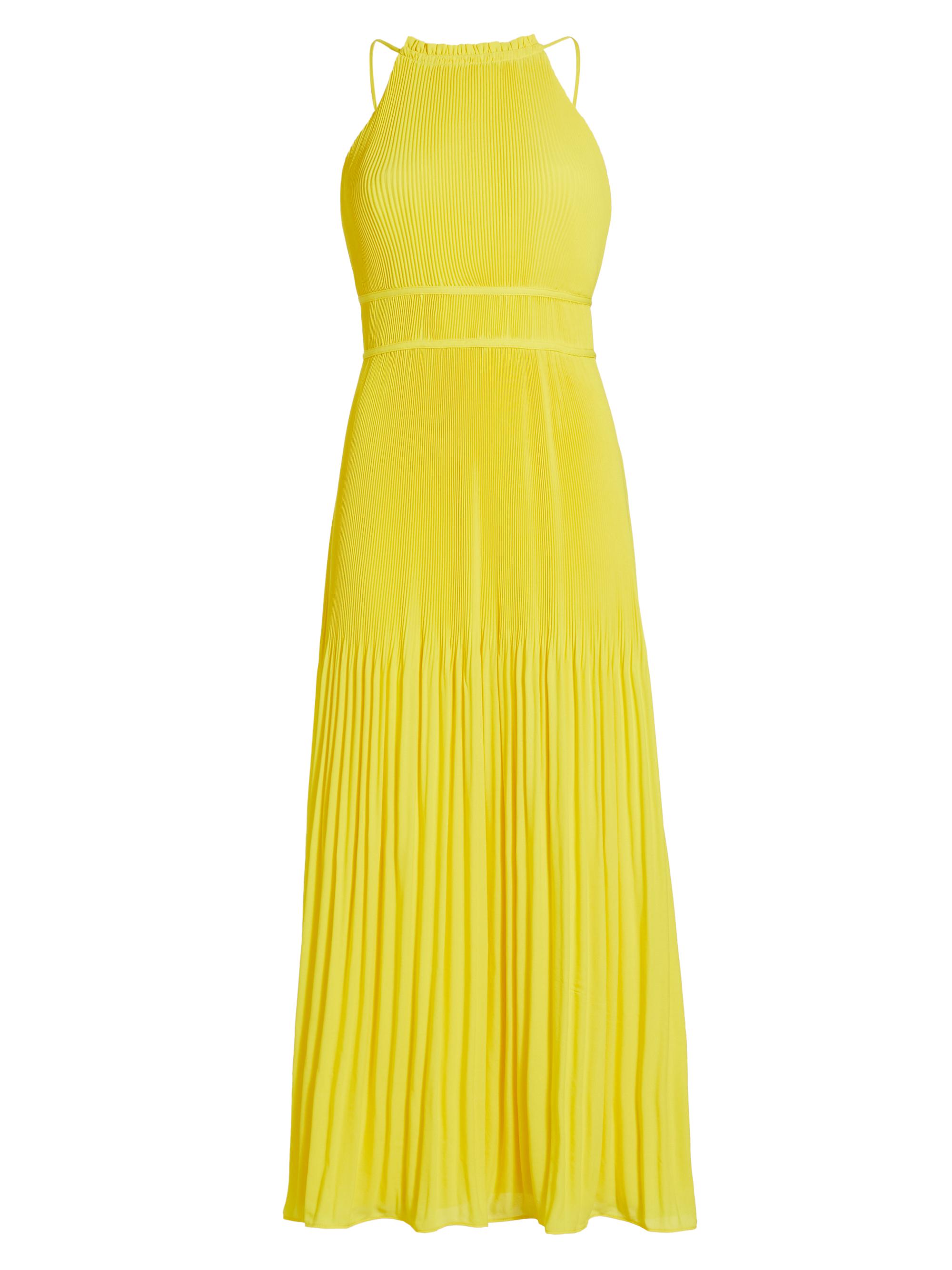Amur Women's Garren Pleated Maxi Dress - Sunlight