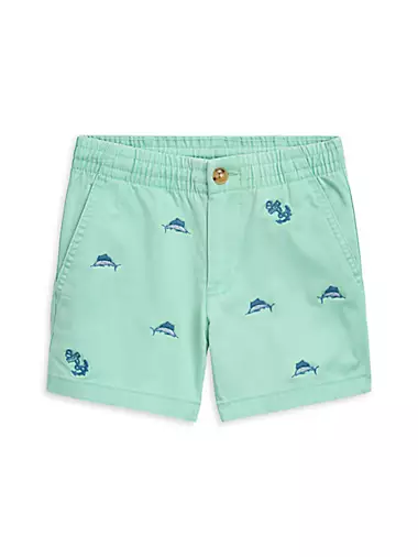 Little Boy's & Boy's Embroidered Twill Shorts