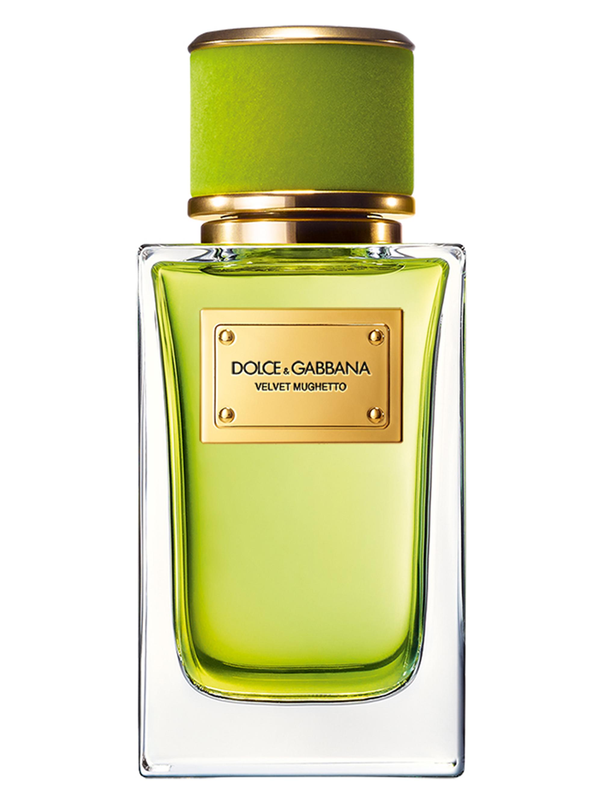 Dolce&Gabbana Velvet Mughetto Eau de Parfum | Saks Fifth Avenue