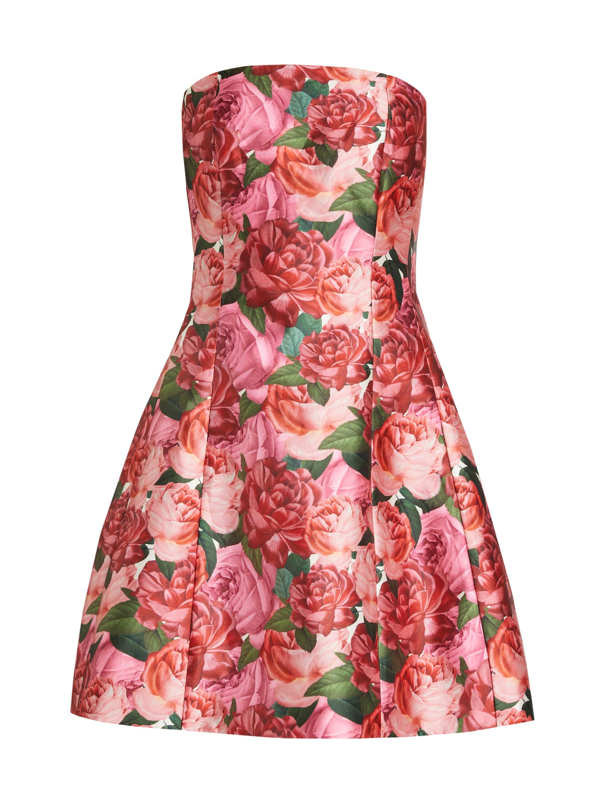 Sachin & Babi Women's Alanna Rose Fit & Flare Minidress - Mazzolino Rosa