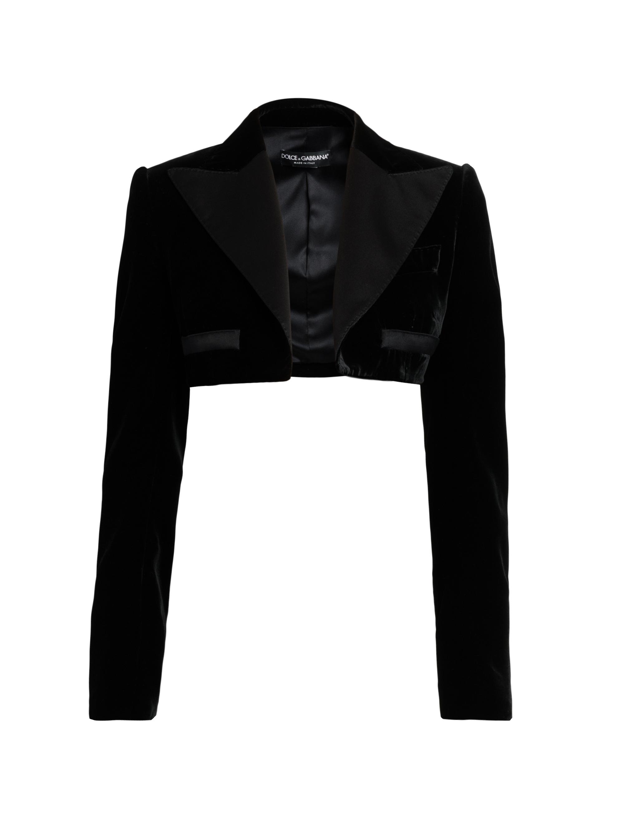Dolce&Gabbana Velvet Cropped Blazer Jacket | Saks Fifth Avenue