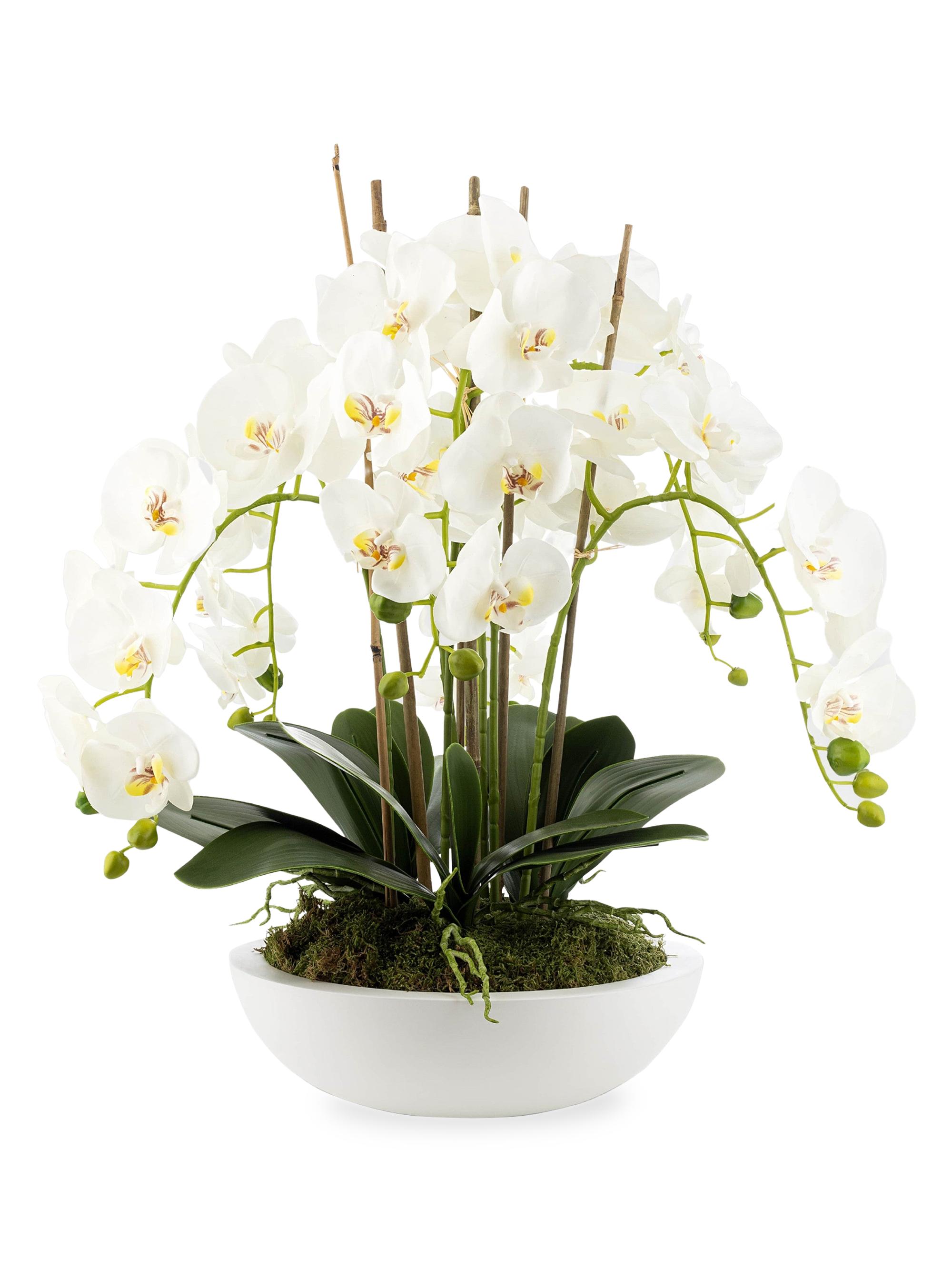 CocoBella Terra Orchid Real Touch Arrangement - White