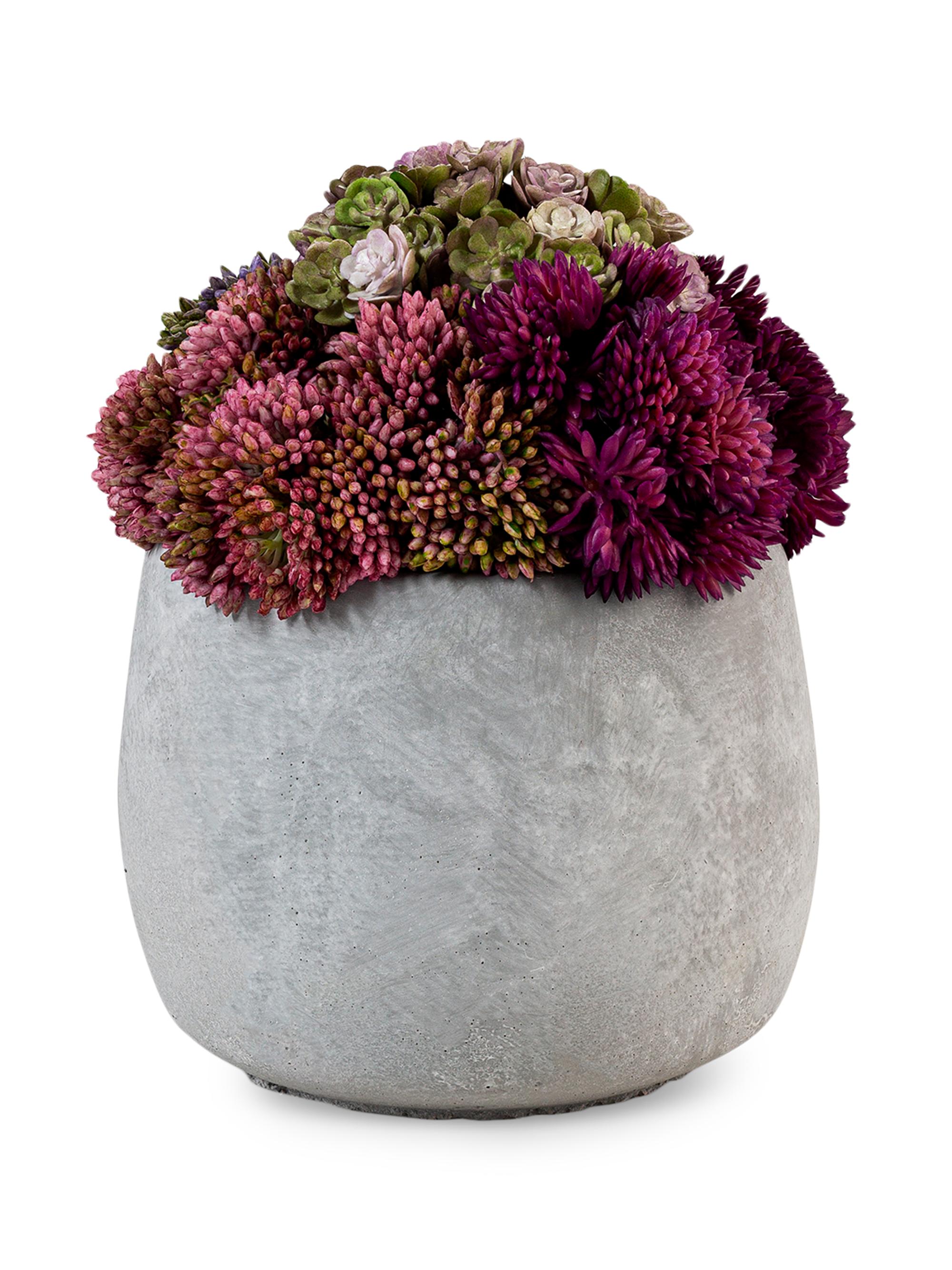 CocoBella Bailey Ceramic Sedum Arrangement - Grey