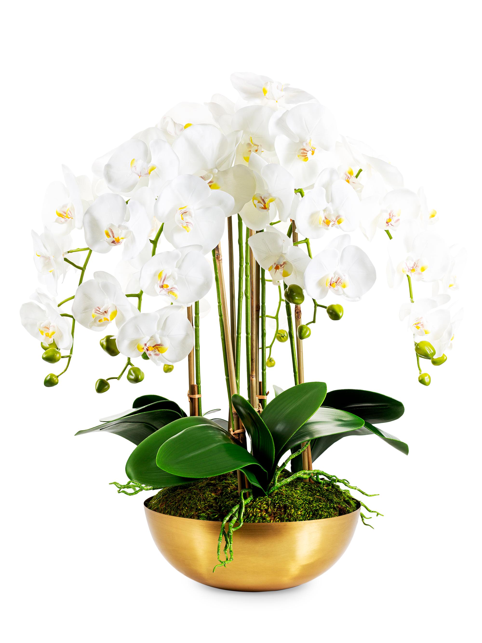 CocoBella Abigail Gold RealTouch Orchid - White