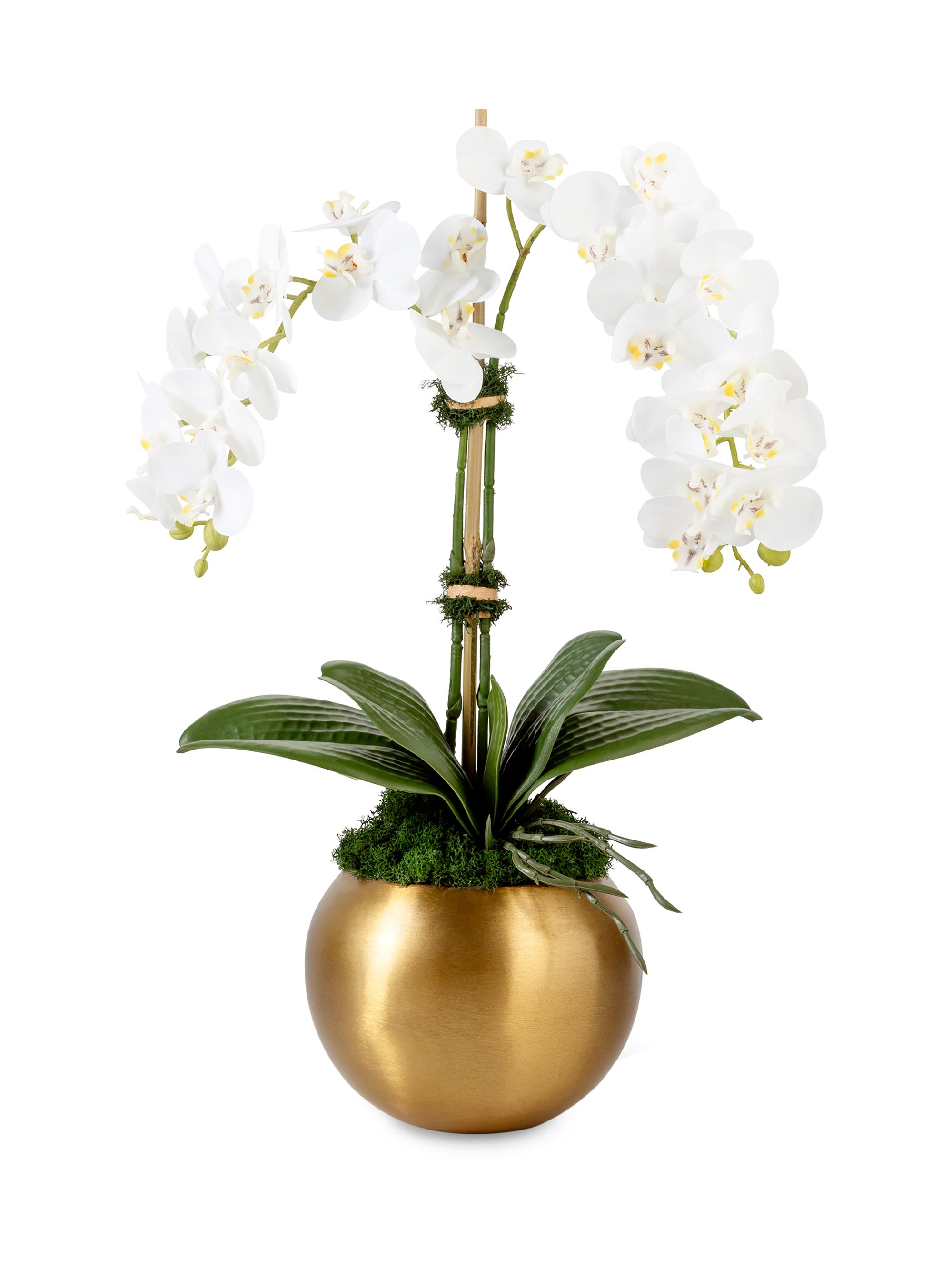 CocoBella Adeline Gold RealTouch Orchid - Snow