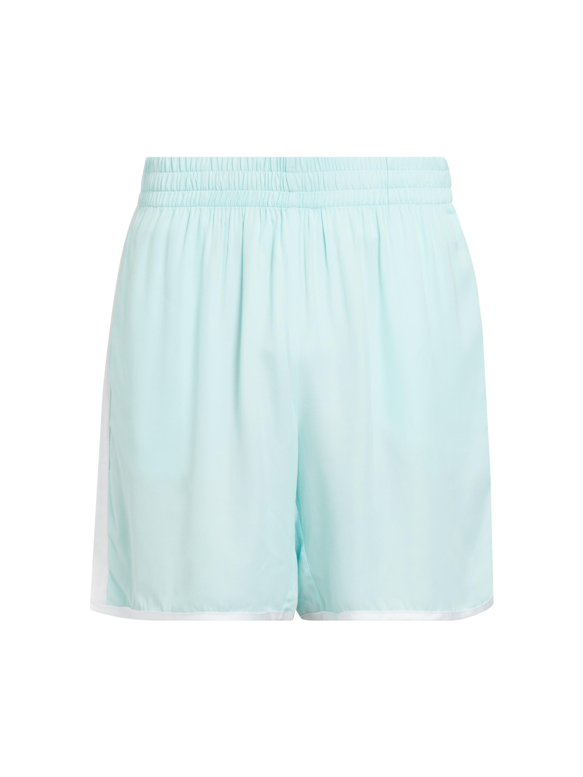 Blue Sky Inn Men's Striped Woven Shorts - Powder Blue