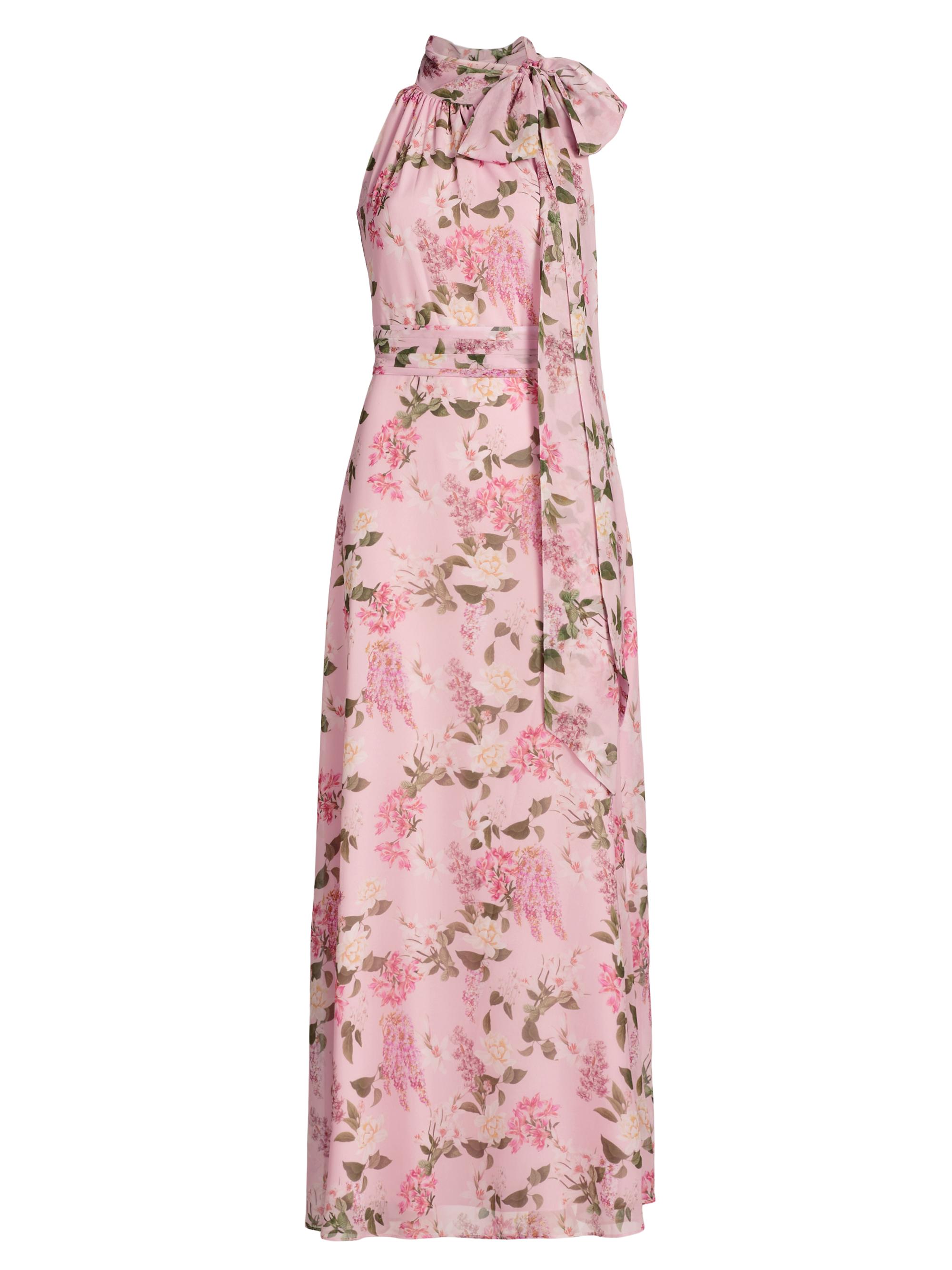 Sachin & Babi Women's Kayla Floral Chiffon Sleeveless Dress - Pink Pearl Wisteria