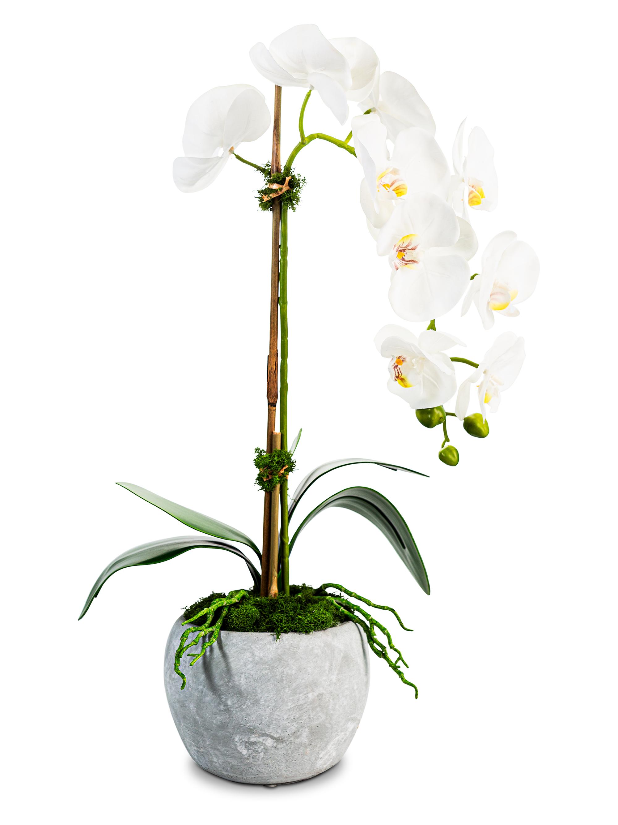 CocoBella Victoria Ceramic Real Touch Orchid - Grey