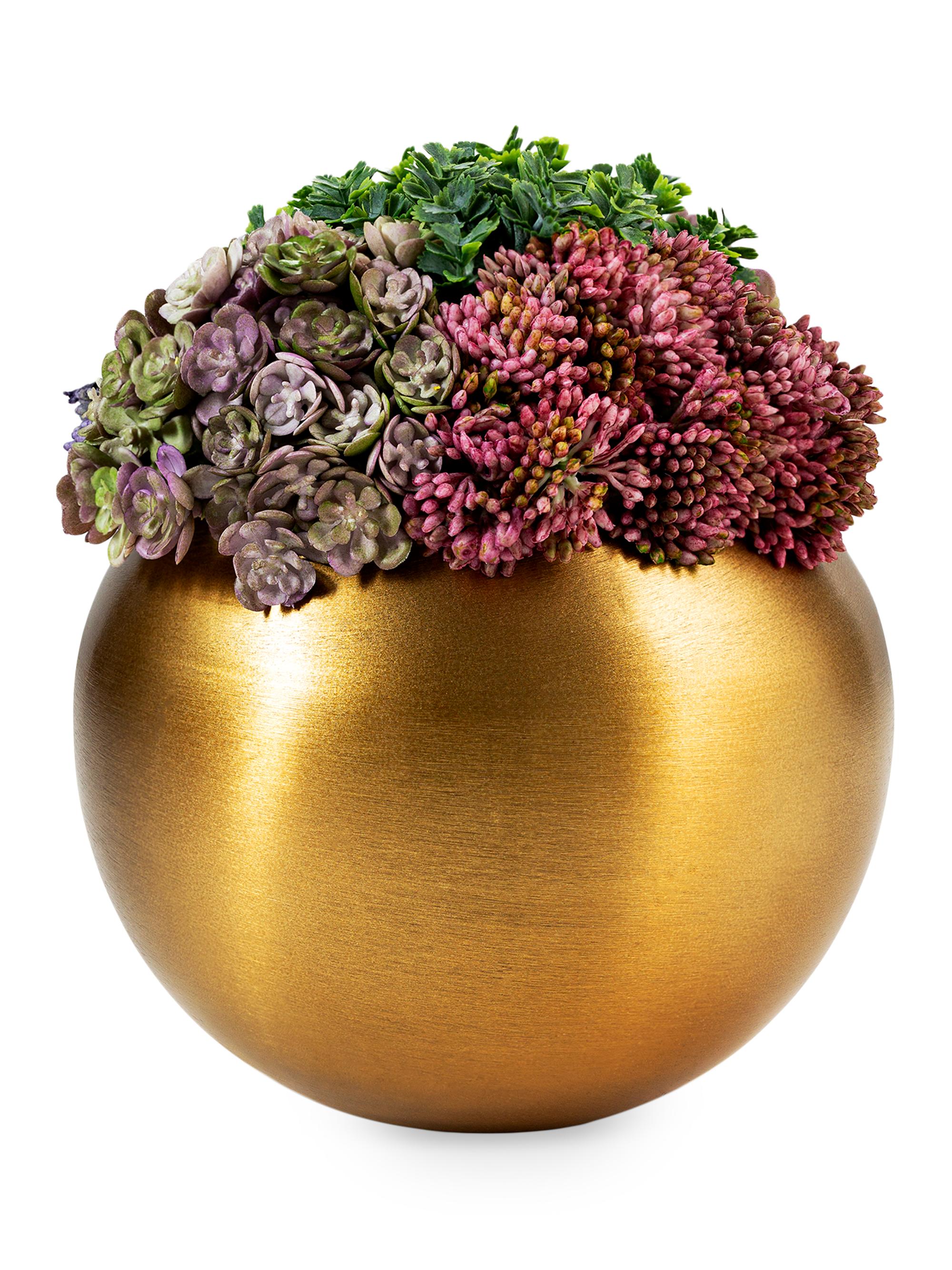 CocoBella Valencia Sedum Arrangement - Gold