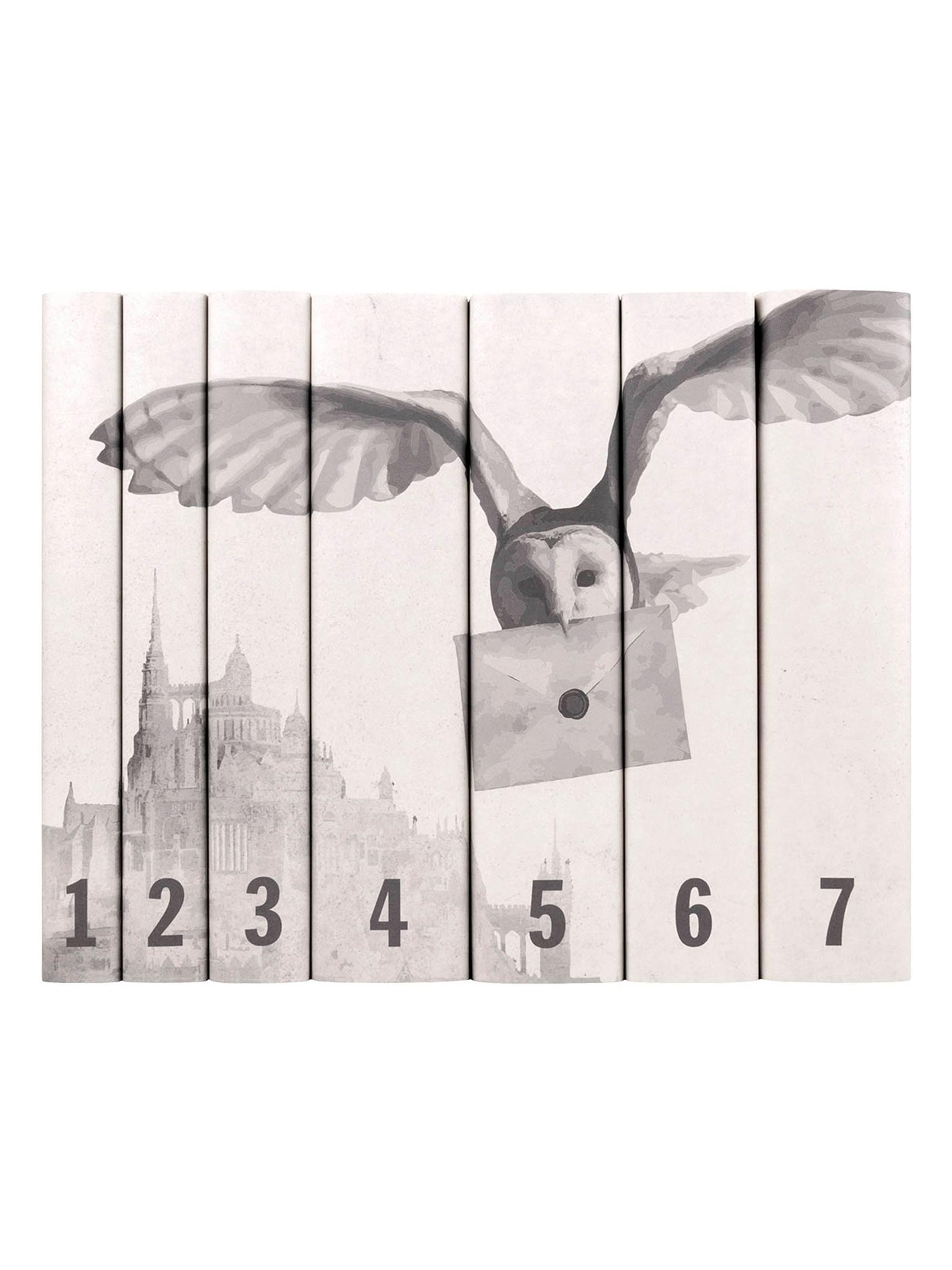 Harry Potter Hogwarts Set