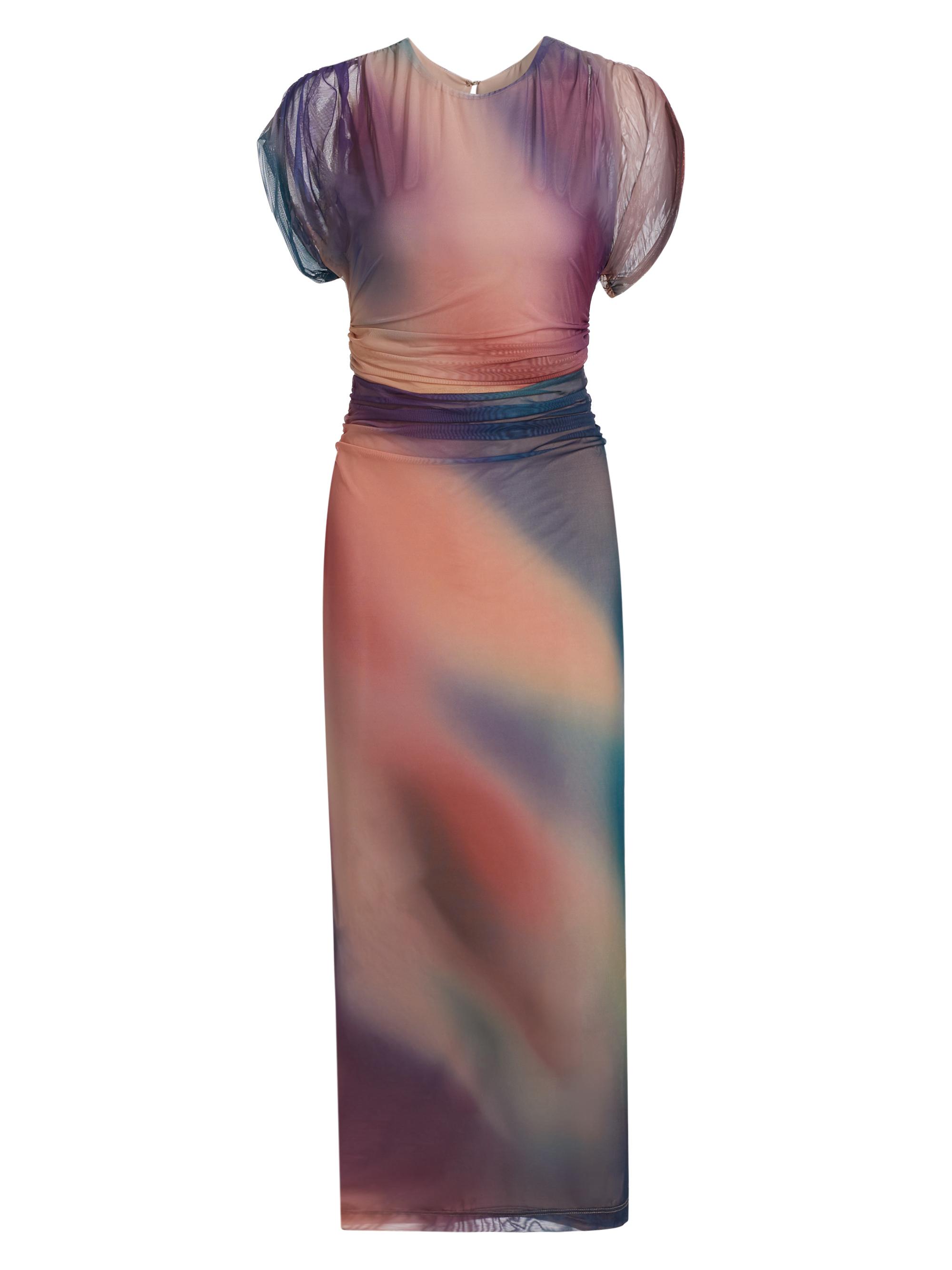Amanda Uprichard Women's Celestia Printed Mesh Maxi Dress - Borealis