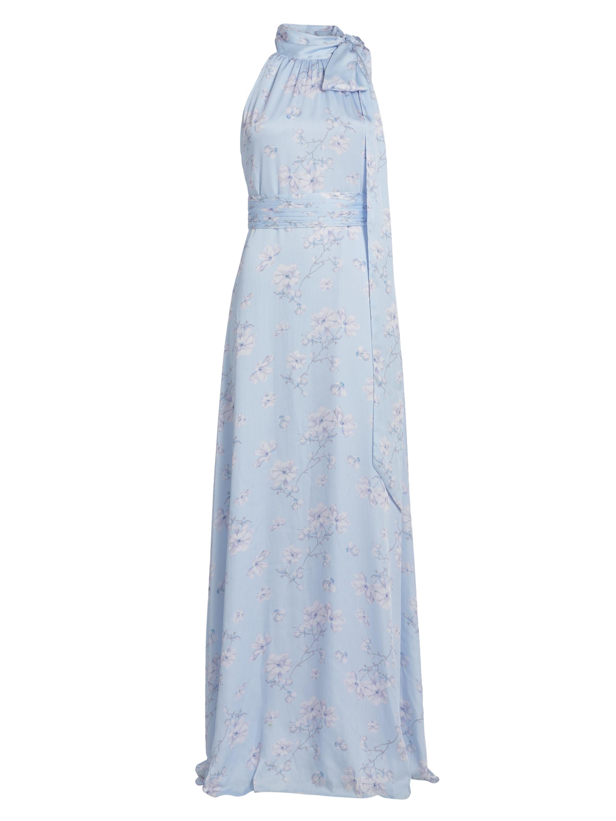 Sachin & Babi Women's Kayla Floral Tie-Neck Gown - Carolina Wildflowers