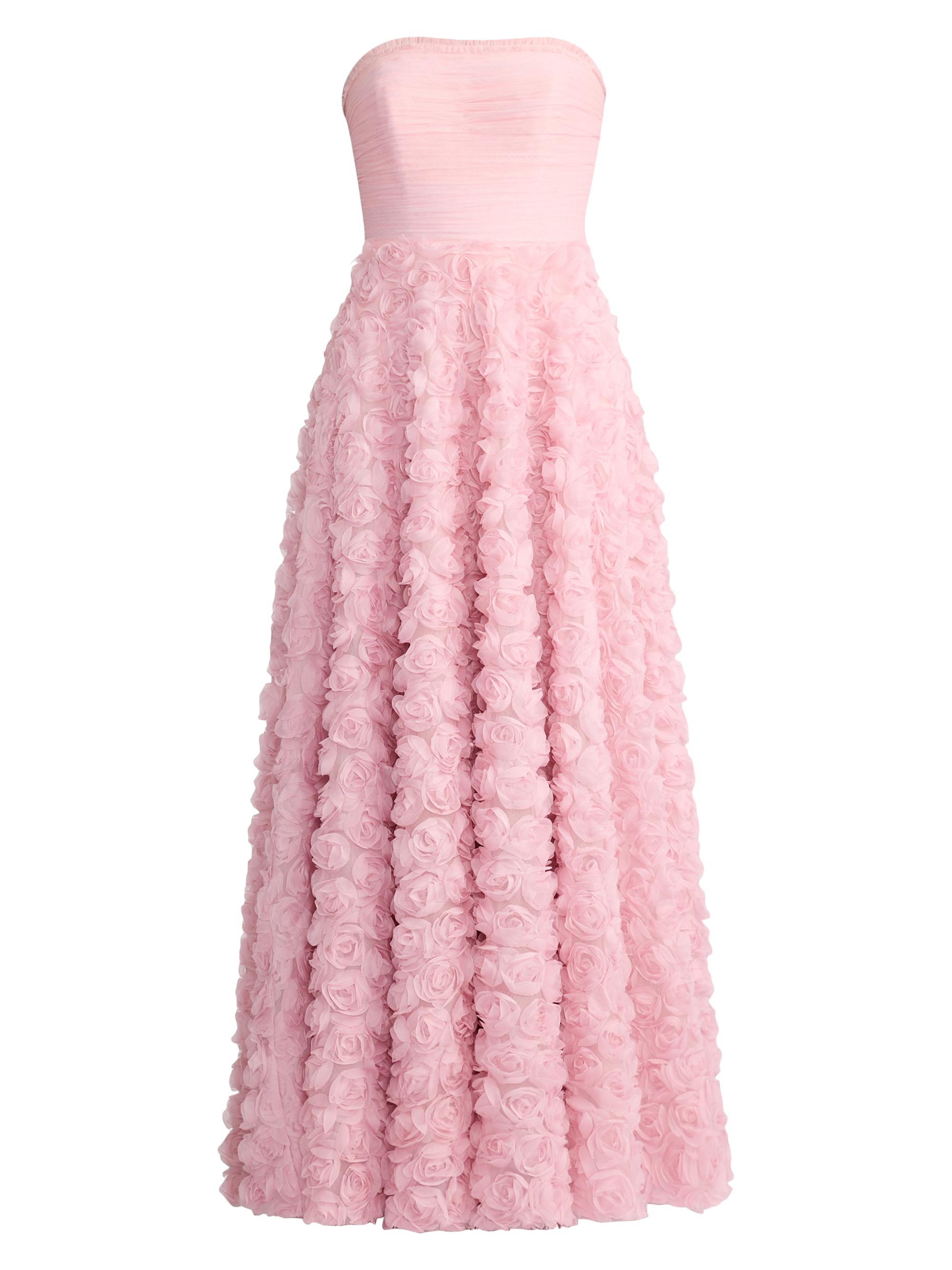 Zac Posen Women's Wicked x  Rose Appliqué Tulle Gown - Mystic