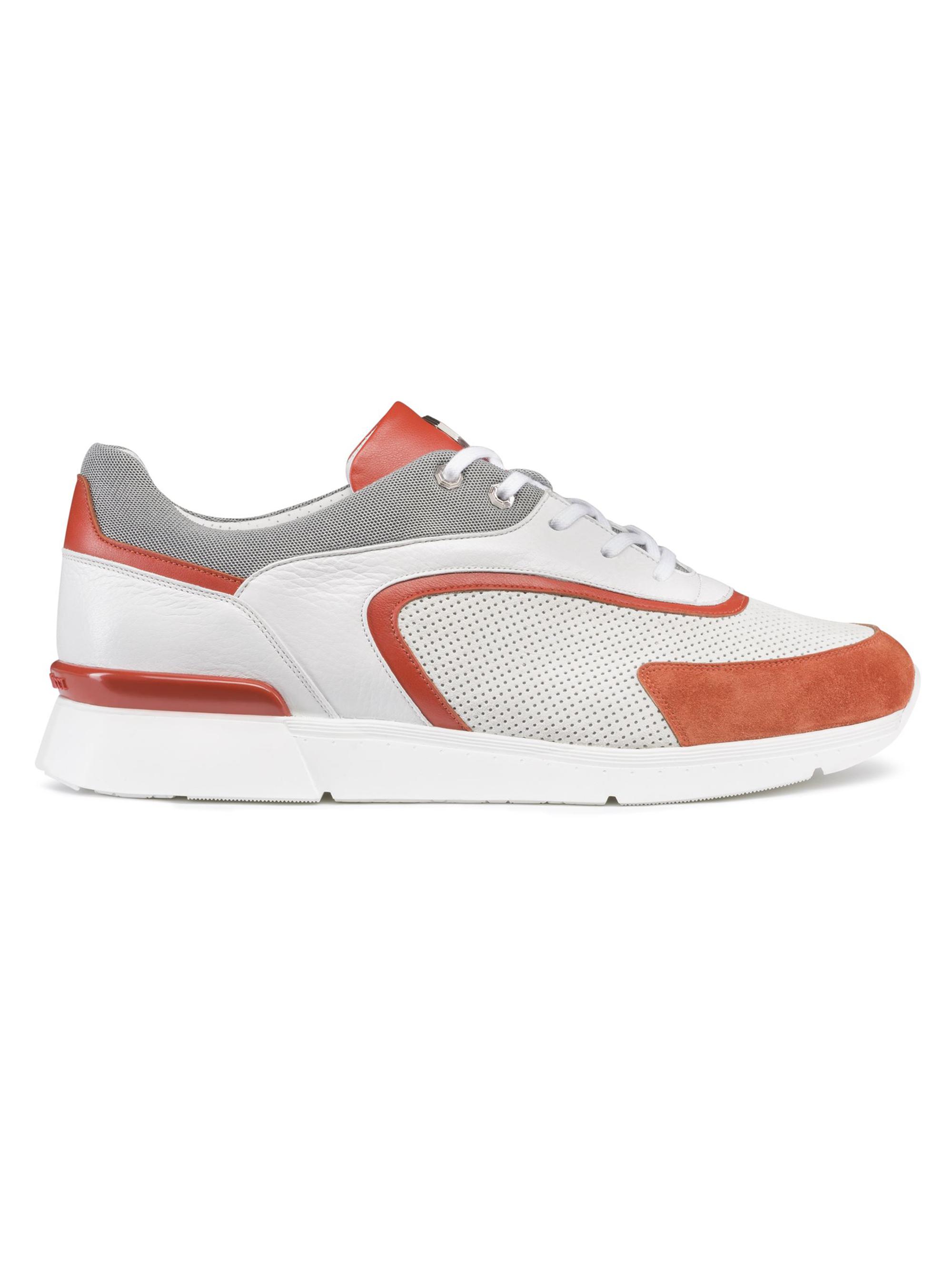 Stefano Ricci Men's Sneakers - White Multi