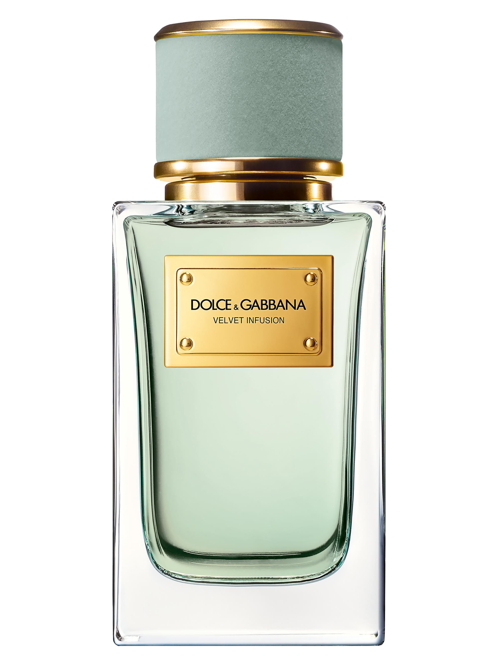 Dolce&Gabbana Velvet Infusion Eau de Parfum | Saks Fifth Avenue