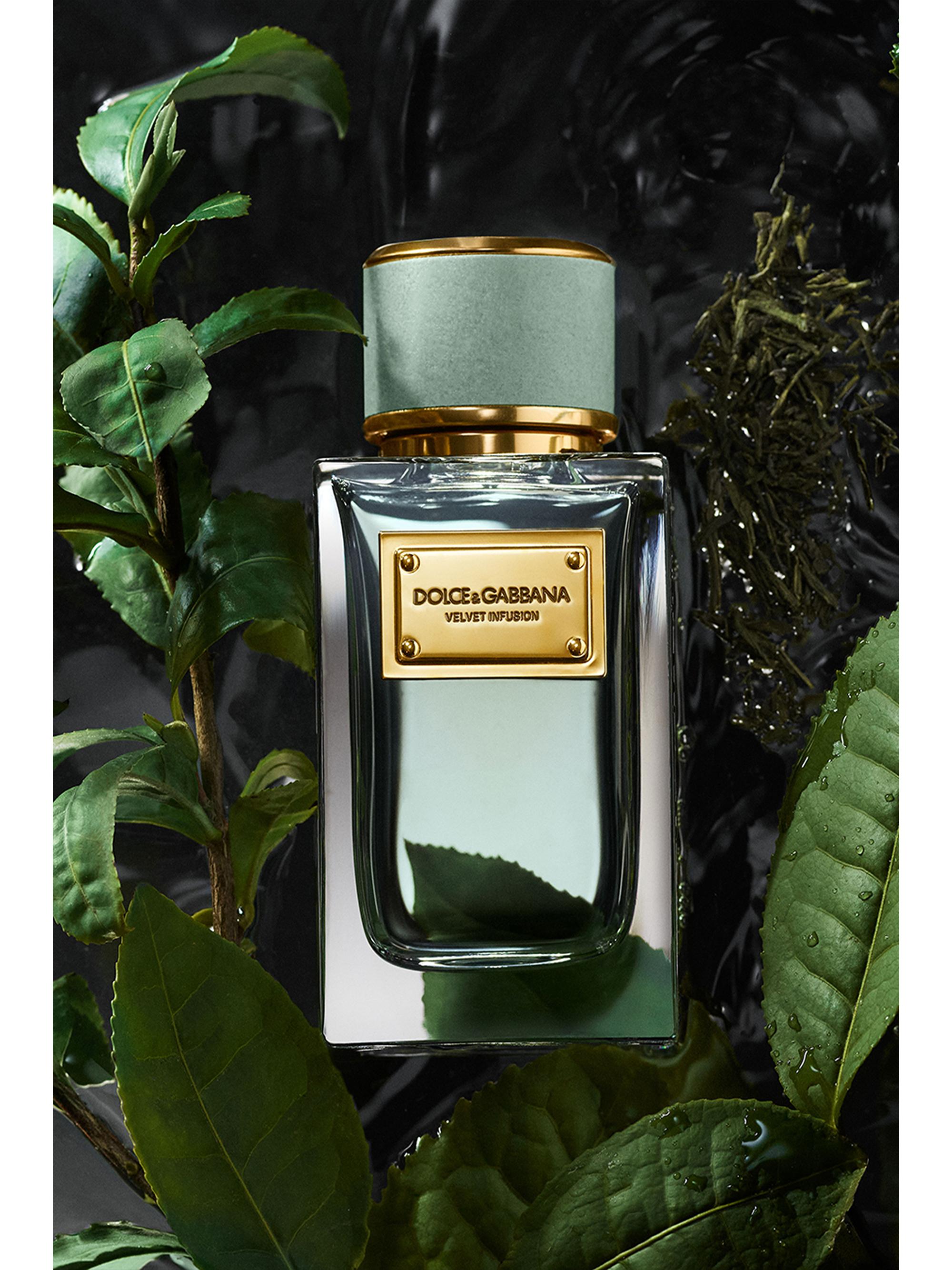 Dolce&Gabbana Velvet Infusion Eau de Parfum | Saks Fifth Avenue